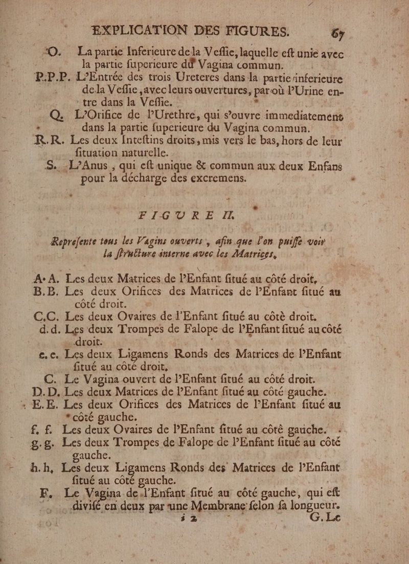 _— 20. La partie Inferieure de la Veffie, laquelle eft unie AVEC la partie fuperieure dd Vagina commun. P.P. P. L'Entrée des trois Ureteres dans la partie inferieure dela Veffie „avec leurs ouvertures, par où PUrine en- | ' tre dans la Veffic. | Q. L’Orifice de PUrethre, qui s'ouvre it enda tec di . dans la partie fuperieure du Vagina commun. R.R. ih dcux [nteftins droits , mis vers le bas, hors de leur fituation naturelle. S. L’Anus, qui eft unique & commun aux deux Enfans pour la décharge des excremens. FIGURE I Reprefente tous les Vagins ouverts, afin.que l'on puife voir la fürutlure interne avec les Matrices, AA. p. deux Matrices de PEnfant fitué au côté droit, B.B. Les deux Orifices des Matrices de l'Enfant fitué au côté droit. | C.C. Les deux Ovaires de l'Enfant fitué au côtè droit. | d.d. Les deux Trompes de Falope de PEnfant fitué au côté - droit. e.c pe deux Ligamens Ronds dés Matrices de inse fitué au côté droit, C. Le Vagina ouvert de PEnfant fitué au cóté droit. D. D. Les deux Matrices de Enfant fitué au côté gauche. „E.E. Les deux Orifices des Matrices de l'Enfant fitué au * côté gauche. f. f. Les deux Ovaires de PEnfant fitué au côté gauche. g.g. Les deux Trompes de Falope de PEnfant fitué au côté gauche. | fitué au côté gauche. F. Le Vagina de.l'Enfant fitué au côté gauche, qui e . divifé en deux par une Membrane fclon fa boporun $2 ;