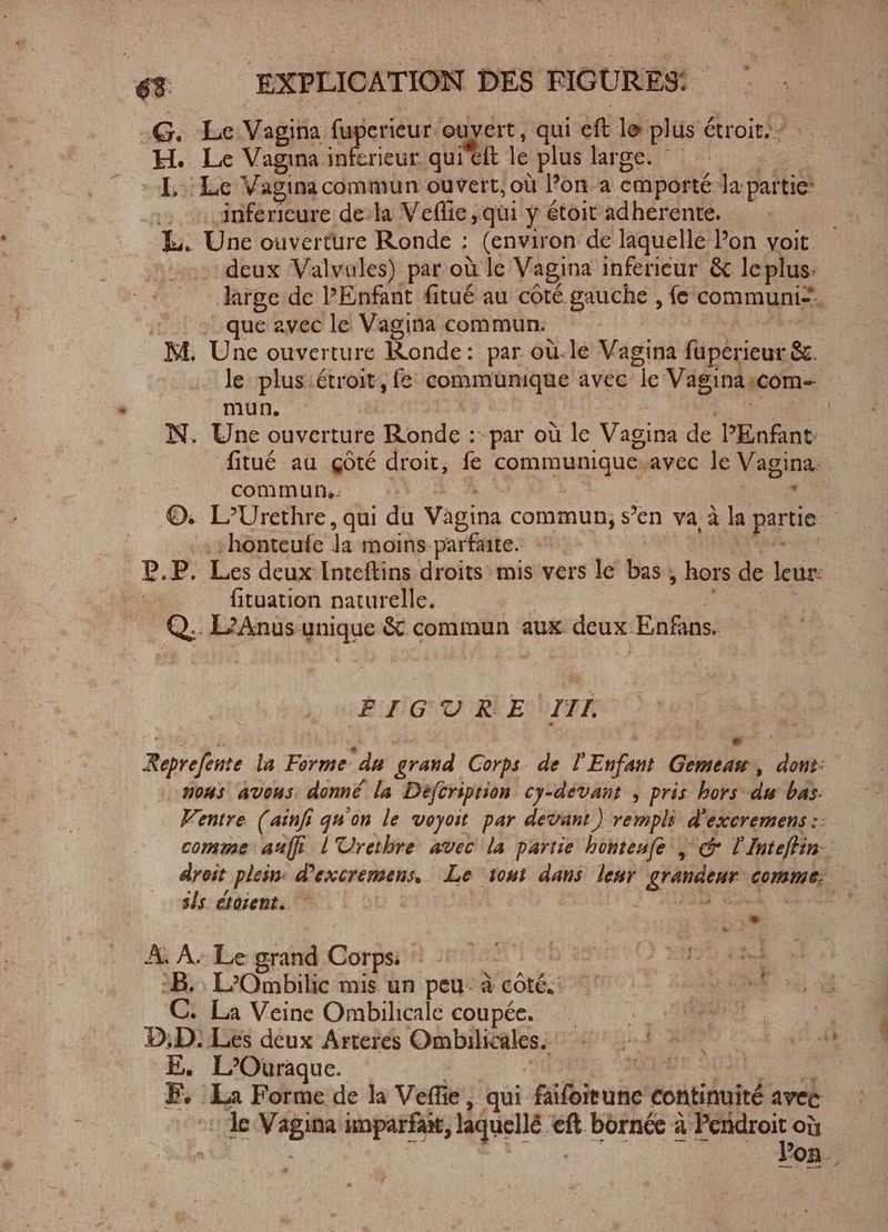 68 ; :G. Le Vagina fuperieur ouvert, qui eft le plus étroit. - H. Le Vagina inferieur qui'eft le plus large. -— L Le Vagina commun ouvert, où Pon-a emporté Ja: paitie- inferieure del Veffie „qui y étoit adherente. EL. Une ouverture Ronde : (environ de laquelle Pon voit. deux Valvules) par où le Vagina inferieur & le plus. large de PEnfant fitué au côté gauche , fe communis, que avec le Vagina commun. M. Une ouverture Ronde: par où-le Vagina fuperieur &. mun. N. Une ouverture Ronde :: „par où le Vagina de PEnfant commun, ©, L’Urethre, qui du Vagina commun, s’en va à la partie ‘honteufe la moins. parfaite. P.P. Les deux Inteftins droits mis vers le bas hors de leur: fituation naturelle. Q.. L?Anus- ques & commun aux deux Enfans. EG ORE qi Reprefente la Forme du grand Corps. de Esai lies JS n0HS AVONS donné la Défcription cy-devant ; pris hors du bas. Wentre (ainfi quon le voyoit par devant) rempli d'excremens :: comme auf L'Urethre avec la partie honteufe , c P Inteffin-- droit ‚plein: d'excremens,. Le toui dans leur grandeur < comme: als étosent. * A. À: Le grand Corps. ^ RED RR B. L'Ombilic mis un peu à côté. 4. UTER C. La Veine Ombilicale coupée. — | D,D: Les deux Arteres Ombilicales. HE gi AUT E. L’Ouraque. nek F. le Forme de la Veffie, qui hiliiraheA continuité avec de Tm: imparfait, de sis bornée à Pendroit où Y 4