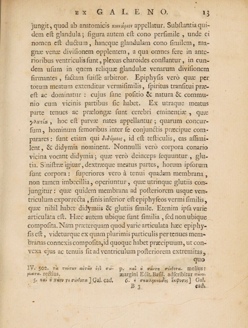 jungit, quod ab anatomicis κων^ίον appellatur. Sub flantia qui¬ dem cil glandula; figura autem eil cono periimile , unde ei nomen cfl dudturn, hancque glandulam cono fimilem, ma- gnx venae diviiionem opplentem, a qua omnes fere in ante¬ rioribus ventriculisfunt,plexus charoidcs conflantur, in eun¬ dem ufum in quem reliqux glandulae venarum diviiionem firmantes, fadtam fuiile arbitror. Epiphyfis vero qux per totum meatum extenditur vermifimilis, fpiritus tranfitui prae- eil ac dominatur : cujus fane poiitio &C natura 6c commu¬ nio cum vicinis partibus fic habet. Ex utraque meatus parte tenues ac praelongae funt cerebri eminentiae , quae yhsrioi , hoc eil parvae nates appellantur; quarum concur- fum, hominum femoribus inter fe conjundtis praecipue com¬ parares : funt etiam qui ΑΜμοις, id eil teiliculis, eas affimi» lent, &c didymia nominent. Nonnulli vero corpora conario vicina vocant didymia; quae vero deinceps fequuntur , glu- tia. Siniilrxigitur,dextraeque meatus partes, horum ipfbrum funt corpora: fuperiores vero a tenui quadam membrana , non tamen imbecillia, operiuntur, quae utrinque glutiis con¬ jungitur : quae quidem membrana ad poileriorem usque ven¬ triculum expor refta , finis inferior eil epiphyfeos vermi fimilis , quae nihil habet didymiis 6c glutiis fimile. Etenim ipfa varie articulata eil. Haec autem ubique funt fimilia , fed non ubique compofita. Nam praeterquam quod varie articulata haec epiphy¬ fis eil, videturque ex quam plurimis particulis per tenues mem* branas connexis compofita,id quoque habet praecipuum, ut con¬ vexa ejus ac tenuis fit ad ventriculum poileriorem extremitas 5 t quo IV. $01, tu, τούτων ccotovji 1$·! cra~ p. ν-οίί ύ πόωτη (τύνΟετα. melillST μ*™, reftiiis. margini Edit.Baiil. adferibitur πΰ,νυ* 5-. κνϊ £ 7r%w Ti rwCiTfcli Qui, Qad, 0· * α·κ&λψ·οΗ$js ίχψνιπξ] Gal»
