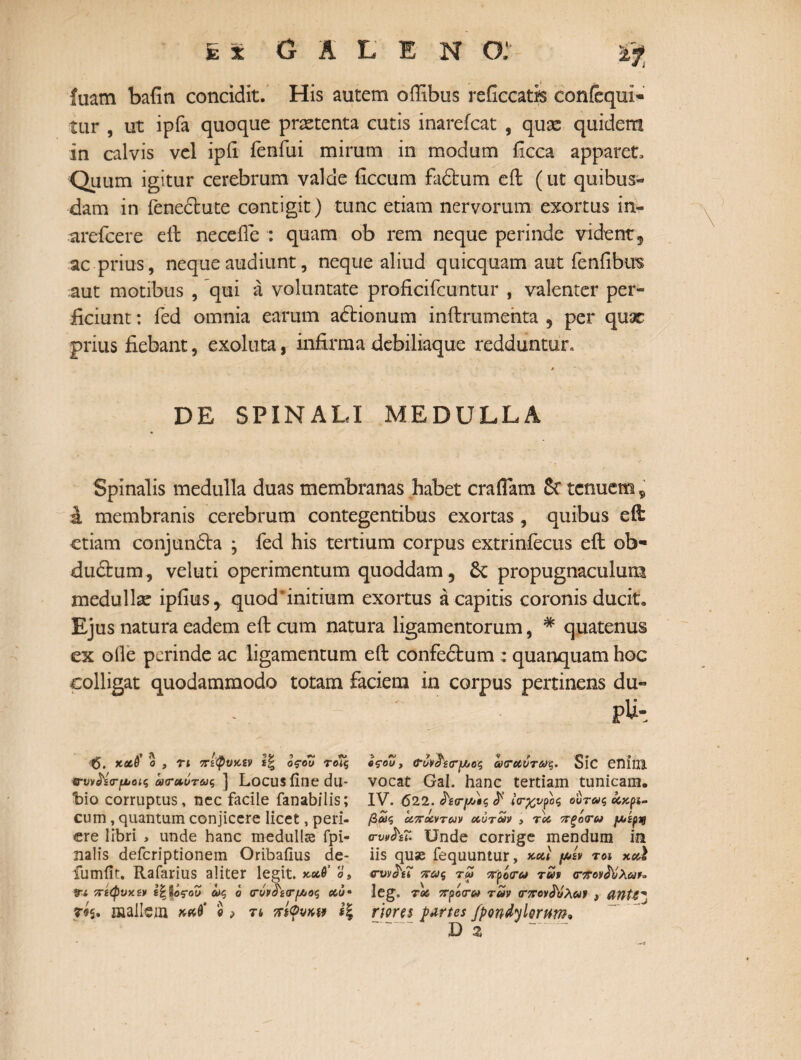 iaam bafin concidit. His autem oifibus reficcatfs confequi- tur , ut ipfa quoque praetenta cutis inarefcat , quae quidem in calvis vel ipfi ienfui mirum in modum ilcca apparet* Quum igitur cerebrum valde iiccum fadtum eil (ut quibus¬ dam in feneclute contigit) tunc etiam nervorum exortus in- arefcere eil neceile : quam ob rem neque perinde vident, ac prius, neque audiunt, neque aliud quicquam aut fenfibu^ aut motibus , qui a voluntate proficifcuntur , valenter per¬ ficiunt : fed omnia earum adtionum inilrumenta 5 per quar prius fiebant, exolata, infirma debiliaque redduntur» DE SPINALI MEDULLA Spinalis medulla duas membranas habet craflam 8c tenuem 9 a membranis cerebrum contegentibus exortas , quibus efi: etiam conjundla ; fed his tertium corpus extriniecus eil ob- dudtum, veluti operimentum quoddam, & propugnaculum medullae ipfius, quod*initium exortus a capitis coronis ducit» Ejus natura eadem eil cum natura ligamentorum, * quatenus ex oile perinde ac ligamentum eil confedlum : quanquam hoc colligat quodammodo totam faciem in corpus pertinens du- pU- a’ «V Ajfc sv j λ» Ό. x&v ο , τι πί<ρνκΜ οςου τοις σ-υν^σ-μοις ωτοιντως ] LOCUS fine dll- t>io corruptus, nec facile fanabilis; cum, quantum conjicere licet, peri¬ ere libri , unde hanc medullas fpi- nalis deferiptionem Oribafius de- fumilt. Rafarius aliter legit. x.oed’ «, Ψί πεψυκεν ά*ς ο ceu· mallem ο ? τι πίθνκ& l\ «ςου, σ-μοζ ωναύτωζ. SlC enί 111 vocat Gal. hanc tertiam tunicam. IV. 622. Λ(Γ/Λ/*ς $ 4Φ%νρος ούτως ccxpi- βως ci7roivTcJv οίύτων , Toe πξό<τω fAtpQ ο-νρ^ίΐ. Unde corrige mendum in iis quae fequuntur, f&zv tm xcei crvy^tT πως tm ?rpo<rcj rui Φπον^ύλων^ 1 eg. roe προ<Γ» των σ-πον^ύλων 9 CWt4Z riores Panes /pondylorum» D z ~