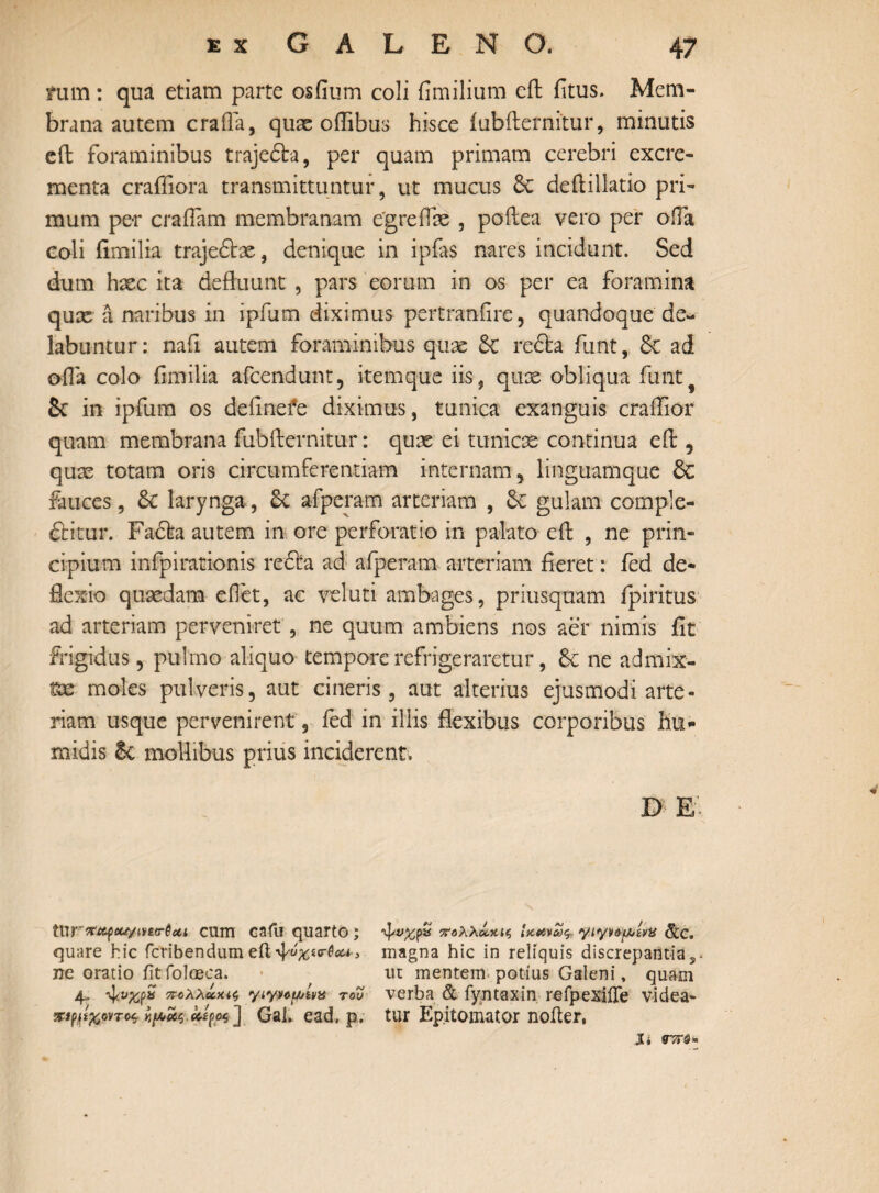 fum: qua etiam parte osfium coli fimilium eft fitus. Mem¬ brana autem craffa, quse oilibus hisce iubfternitur, minutis eil foraminibus trajeCh, per quam primam cerebri excre¬ menta crafiiora transmittuntur, ut mucus 6c deftillatio pri¬ mum per craifam membranam egreffe , poilea vero per offa coli fimilia trajedbe, denique in ipfas nares incidunt. Sed dum hsec ita defluunt , pars eorum in os per ea foramina qux a naribus in ipfum diximus pertranfire, quandoque'de- labuntur: nafi autem foraminibus qux reCfca funt, 8t ad ©fla colo fimilia afcendunt, itemque iis, qux obliqua funt^ St in ipfum os definefe diximus, tunica exanguis craffior quam membrana fubfternitur: qux ei tunicx continua eil, qux totam oris circumferentiam internam , linguamque Sc fauces, &C larynga, St afperam arteriam , St gulam comple¬ ctitur. Facta autem in ore perforatio in palato eft , ne prin¬ cipium infpirationis re£ta ad afperam arteriam fieret: fed de¬ flexio quxdam eOet, ac velati ambages, priusquam fpiritus ad arteriam perveniret , ne quum ambiens nos aer nimis iit frigidus, pulmo aliquo tempore refrigeraretur, St ne admix¬ tae moles pulveris, aut cineris, aut alterius ejusmodi arte¬ riam usque pervenirent 3 fed in iliis flexibus corporibus hu- midis St mollibus prius inciderent. D· E· tnr**f«w*ccr0«t cum cafu quarto; quare hic fcribendumeit-^^so-^, ne oratio iitfoloeca. 4- πολλοοαζ γιγ*6[//ΐνχ του KiffaovTcs ν{ΛΧζ.&£{>οζ] Gal. ead, μ. πολλόύκις ίκ&νως yiyv&f&ivx dic. magna hic in reliquis discrepantia,* ut mentem potius Galeni, quam verba & fyntaxin refpexifle videa¬ tur Epitomator nofter,