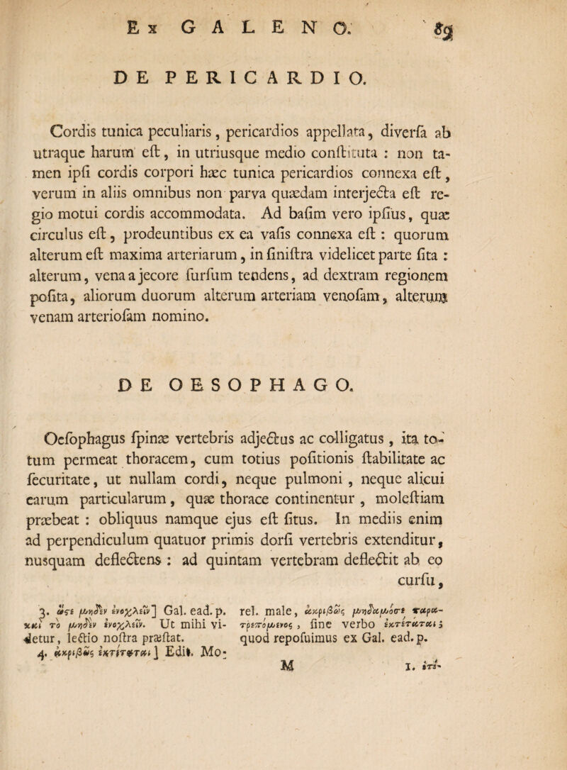 DE PERICARDIO. Cordis tunica peculiaris, pericardios appellata, diverfa ab utraque harum eft, in utriusque medio conftituta : non ta¬ men ipii cordis corpori haec tunica pericardios connexa eft, verum in aliis omnibus non parva quasdam interjecta eft re¬ gio motui cordis accommodata. Ad bafim vero ipiius, quae circulus eft 3 prodeuntibus ex ea vaiis connexa eft : quorum alterum eft maxima arteriarum, in iiniftra videlicet parte iita : alterum, vena a jecore iurfiim tendens, ad dextram regionem polita, aliorum duorum alterum arteriam veaofam, alterum venam arteriolam nomino. DE OESOPHAGO, Oefophagus fpinse vertebris adje&us ac colligatus, ita to¬ tum permeat thoracem, cum totius politionis Habilitate ac fecuritate, ut nullam cordi 3 neque pulmoni , neque alicui earum particularum , quae thorace continentur , moleftiam praebeat : obliquus namque ejus eft litus. In mediis enim ad perpendiculum quatuor primis dorli vertebris extenditur, nusquam defle&ens : ad quintam vertebram defleftit ab eo curfii, 3. «V* Ιν&χλίίν] Gal. ead.p. rei. male, ακριβώς vapa- %κϊ το fx>Y)^\v ίνοχλίΐν. Ut mihi γί- τρίπ&μηος , fine verbo ίκτίταται y ^etur, leftio nofira pr&ftat. quod repofuimus ex Gal. ead.p. 4« άκριβάζ f#TfT0TM ] £dil. Μθ·