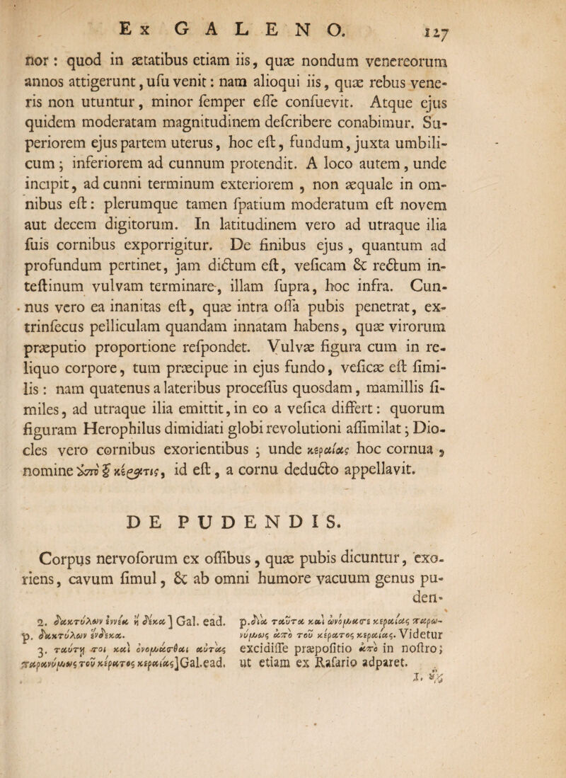 nor : quod in aetatibus etiam iis, quae nondum venereorum annos attigerunt, ufu venit: nam alioqui iis, quae rebus vene¬ ris non utuntur, minor femper effe confuevit. Atque ejus quidem moderatam magnitudinem defcribere conabimur. Su¬ periorem ejus partem uterus, hoc eft, fundam, juxta umbili¬ cum ; inferiorem ad cunnum protendit. A loco autem , unde incipit, ad cunni terminum exteriorem , non aequale in om¬ nibus eft: plerumque tamen fpatium moderatum eft novem aut decem digitorum. In latitudinem vero ad utraque ilia fuis cornibus exporrigitur. De finibus ejus, quantum ad profundum pertinet, jam diftum eft, veiicam δί redtum in- teftinum vulvam terminare-, illam fupra, hoc infra. Cun- • nus vero ea inanitas eft, quae intra oila pubis penetrat, ex- trinfecus pelliculam quandam innatam habens, quae virorum praeputio proportione refpondet. Vulvae figura cum in re¬ liquo corpore, tum praecipue in ejus fundo, veficae eft fimi- lis: nam quatenus a lateribus proceiTus quosdam, mamillis ii- miles, ad utraque ilia emittit,in eo a veiica differt: quorum figuram Herophilus dimidiati globi revolutioni affimilat j Dio- cles vero cornibus exorientibus , unde κεραίας hoc cornua 9 nomineϊπο ξ κί&τις, id eft, a cornu dedufto appellavit. D E PUDENDIS. Corpus nervoforum ex offibus, quae pubis dicuntur, exo¬ riens , cavum fimul, Se ab omni humore vacuum genus pu¬ deri-' 2. ^UiCTuXm svvzti « Jixci] Gal. ead. p. δάχτυλων zv&koc. 3. τΛυτγ .701 κοά ovof/ju<r6cu αυτούς τον χίρατοζ xif>coiec$]Gal.ead, p,^io6 7 οουτοο xa) avof/jscn κεραίας %αρα>~ απο too κερατος κεραίας. Videtur excidiiTe praepofitio in noilro; ut etiam ex Rafario adparet.