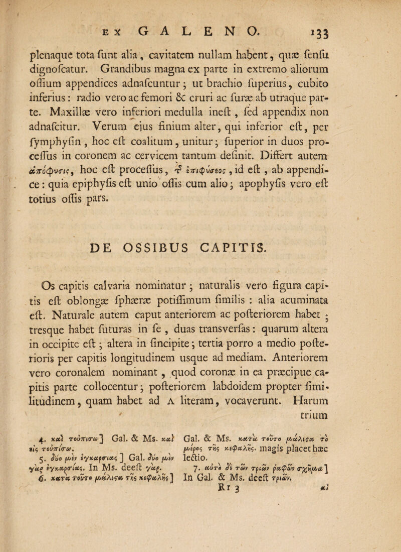 *33 plenaque tota funt alia, cavitatem nullam habent, quae fenfu dignofcatur. Grandibus magna ex parte in extremo aliorum oifium appendices adnafcuntur; ut brachio fuperius, cubito inferius: radio vero ac femori cruri ac furae ab utraque par¬ te. Maxillae vero inferiori medulla ineit , fed appendix non adnafcitur. Verum eius finium alter, qui inferior eit, per fymphyfin , hoc eit coalitum , unitur* fuperior in duos pro- cefliis in coronem ac cervicem tantum definit. Differt autem % άιτόφυ<τκ, hoc eit procefiiis, Ιπ«ρύ<τζος, id eit , ab appendi¬ ce : quia epiphyfis eit unio offis cum alio; apophyfis vero eit totius offis pars. DE OSSIBUS CAPITIS. > Os capitis calvaria nominatur ; naturalis vero figura capi¬ tis eit oblongae fphaeras potiffimum fimilis : alia acuminata eit. Naturale autem caput anteriorem ac poiteriorem habet * tresque habet futuras in fe , duas transverfas: quarum altera in occipite eit; altera in fincipite j tertia porro a medio poite- rioris per capitis longitudinem usque ad mediam. Anteriorem vero coronalem nominant ? quod coronae in ea praecipue ca¬ pitis parte collocentur* poiteriorem labdoidem propter fimi- litudinem5 quam habet ad Λ literam, vocaverunt. Harum * trium 4. xxl τουπιτω'] Gal. & Ms. acci S44 ταύπίτω. £υο μΛν ί'/κχρηοίζ ] Gal. £υο μλν γ'αξ εγκαρτίοίζ. In Ms. deeft γοίξ. <5. κκτα tqutq μολιςα r«$ κίφαλ^ ] Gal. & Ms. KsCToe, τούτο ραλιςα to f/jipcq τής κίφοιλϊίζ' magis placet haec le&io. 7. ecure <^£ των τριών ραφών In Gal. & Ms. deeft rpim. R r 3 *;