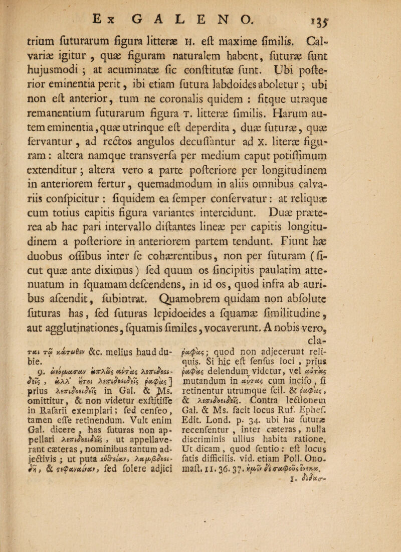 trium futurarum figura litteras H. eft: maxime fimilis. Cal~ varia: igitur , quas figuram naturalem habent, futuras funt hujusmodi ; at acuminatas fic conftitutse funt. Ubi pofte- rior eminentia perit, ibi etiam futura labdoidesaboletur ; ubi non eft anterior, tum ne coronalis quidem : fitque utraque remanentium futurarum figura t. litteras fimilis. Harum au¬ tem eminentia,quasutrinque eft deperdita, duas futuras, quae fervantur, ad redlos angulos decutiantur ad X. literae figu¬ ram : altera namque transverfa per medium caput potiffimum extenditur; altera vero a parte pofteriore per longitudinem in anteriorem fertur, quemadmodum in aliis omnibus calva¬ riis confpicitur : fiquidem ea femper confervatur: at reliquae cum totius capitis figura variantes intercidunt. Duae praete¬ rea ab hac pari intervallo diftantes linea: per capitis longitu¬ dinem a pofteriore in anteriorem partem tendunt. Fiunt has duobus oflibus inter fe cohaerentibus, non per futuram (fi- cut quae ante diximus) fed quum os (incipitis paulatim atte¬ nuatum in fquamamdefcendens, in id os, quod infra ab auri¬ bus afcendit, fubintrat. Quamobrem quidam non abfolute futuras has, fed futuras lepidoeides a fquamae fimilitudine, aut agglutinationes, fquamis fimiles, vocaverunt. A nobis vero, cla- Ttu τω κάταθίν &c. melius haud du¬ bie. ' 9. covoy/curuv Η7Γλως αντοίζ λεττι^οζι- t ίύλλ’ vjrei ροι,φ'ίζζ jj prius λζπι^οα&ΐζ in Gal. & jyts. omittitur, & non videtur exftitiiTe in Rafarii exemplari; fed cenfeo, tamen eiTe retinendum. Vult enim Gal. dicere , has futuras non ap¬ pellari λετπ^οΣίΛϊς , ut appellave¬ rant casteras , nominibus tantum ad¬ jectivis ; Ut puta ivd-iUv, λκμβ&Η- & ςιφανηναν> fed folere adjici ρχφΐίζ; quod non adjecerunt reli¬ quis. Si hic eft fenfus loci , prius petens delenduin videtur, vel αίτας mutandum in cum incifo , ii retinentur utrumque fcil. & (αφ&ς, & XtTnhiihXi. Contra leCtionem Gal. & Ms, facit locus Ruf. Ephef. Edit. Lond. p. 34. ubi has futuras recenfentur , inter cseteras, nulla discriminis ullius habita ratione. Ut dicam, quod fentio: eii locus fatis difficilis, vid. etiam Poli. Ono- maft, xi. 3.6.37. vp» & <τχφου X. <r**