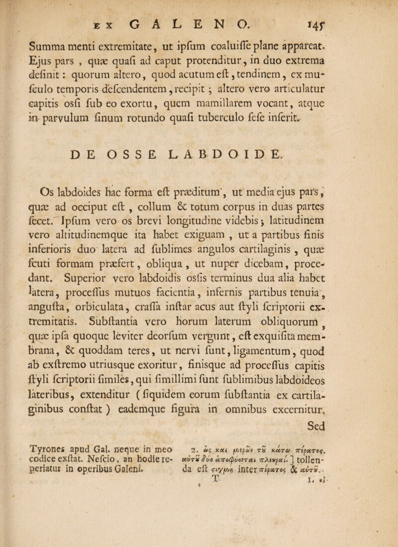 Summa menti extremitate, ut ipfum coalui ile plane appareat. Ejus pars , quae quafi ad caput protenditur, in duo extrema definit: quorum altero, quod acutum e it, tendinem, ex mu- iculo temporis defendentem, recipit; altero vero articulatur capitis osfi fub eo exortu, quem mamillarem vocant, atque in- parvulum finum rotundo quafi tuberculo fefe inierit.· DE OSSE LA BDOIDE. Os labdoides hac forma eft praeditum', ut media ejus pars, quae ad occiput eil , collum totum corpus in duas partes feet. Ipfum vero os brevi longitudine videbis ^ latitudinem vero altitudinemque ita habet exiguam , ut a partibus finis inferioris duo latera ad fublimes angulos cartilaginis , quae icuti formam praefert, obliqua , ut nuper dicebam, proce¬ dant. Superior vero labdoidis osfis terminus dua alia habet latera, proceflus mutuos facientia, infernis partibus tenuia, angufta, orbiculata, crafla inftar acus aut ftyli fcriptorii ex¬ tremitatis. Subftantia vero horum laterum obliquorum quae ipfa quoque leviter deorfum vergunt, eil exqu i fi ta mem¬ brana , 6c quoddam teres, ut nervi funt, ligamentum, quod ab exilremo utriusque exoritur, finisque ad proceflus capitis ftyli fcriptorii fimiles,qui fimillimifunt fublimibus labdoideos lateribus, extenditur (flquidem eorum fubilantia ex cartila¬ ginibus confiat) eademque figura in omnibus excernitur. Sed Tyrones apud Gal. neque in meo 2. uc, y.ou f/jtpZv tS Kctree πίγατας, codice exflat. Nefcio, an hodie re- Μυτχ^όο οίποφόοντα,ι πλιν^χί. J tollen* periatur in operibus Galeni. da efl tiypn inter πί^τος & utrS.·* T I. i