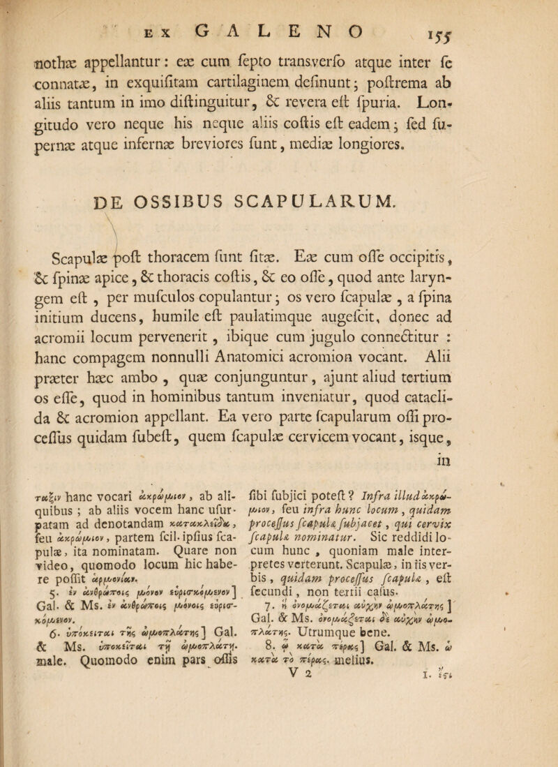 Hf tiothx appellantur: eae cum iepto transverfo atque inter ic connatae, in exquiiitam cartilaginem definunt; poftrema ab aliis tantum in imo diilinguitur, 5c revera eit fpuria. Lon¬ gitudo vero neque his neque aliis coitis eit eadem; fed fu- pernae atque infernae breviores funt, medix longiores» de ossibus scapularum. Scapulx poit thoracem funt iitx. Ex cum ofle occipitis f Sc fpinx apice 5 thoracis coitis, Sc eo oife, quod ante laryn¬ gem eit , per mufculos copulantur · os vero fcapulx 5 a fpina initium ducens, humile eit paulatimque augelcit, donec ad acromii locum pervenerit , ibique cum jugulo conneftitur : hanc compagem nonnulli Anatomici acromion vocant. Alii prxter hxc ambo , qux conjunguntur, ajunt aliud tertium os eife, quod in hominibus tantum inveniatur, quod catacli» da 6c acromion appellant. Ea vero parte (capularum offi pro- ceflus quidam fubeit, quem fcapulx cervicem vocant, isque9 111 ruliv hanc vocari άκρωμιον, ab ali¬ quibus ; ab aliis vocem hanc ufur- patam ad denotandam κατακλείδα, feu χχράμιον, partem fcil- ipiius fca- pulae, ita nominatam. Quare non video, quomodo locum hic habe¬ re poffit αρμονία». r j » / r * ' η 5. iil Χνθρωποίς μ>ον*ν iVpMTKOfAjSVOV j Gal· & Ms. ίν άνθρωποις μόνοις εόριοτ- χόμενον. υποκειτοα της ωμοπλάτης ] Gal. & Ms. υποχίϊτ&ί τί{ ωμοπλάτη. male. Quomodo enim pars oflis iibi fubjici poteft? Infra illudocxpa- μιαν, feu infra hunc locum , quidam procejjus /capula fubjacet, qui cervix fcapula nominatur. Sic reddidi lo¬ cum hunc , quoniam male inter¬ pretes verterunt. Scapuke, in iis ver¬ bis , quidam procejfus /capula , eit fecundi, non tertii caiiis. 7. ii ονομάζεται obv%w ωμοπλάτης ] Gal. & Ms. ονομάζεται άε χύχην ωμο¬ πλάτης. Utrumque bene. 8. ψ x-οοτά πέρας] Gal. & Ms. ω κ,χτά το πέρας. mellUS.