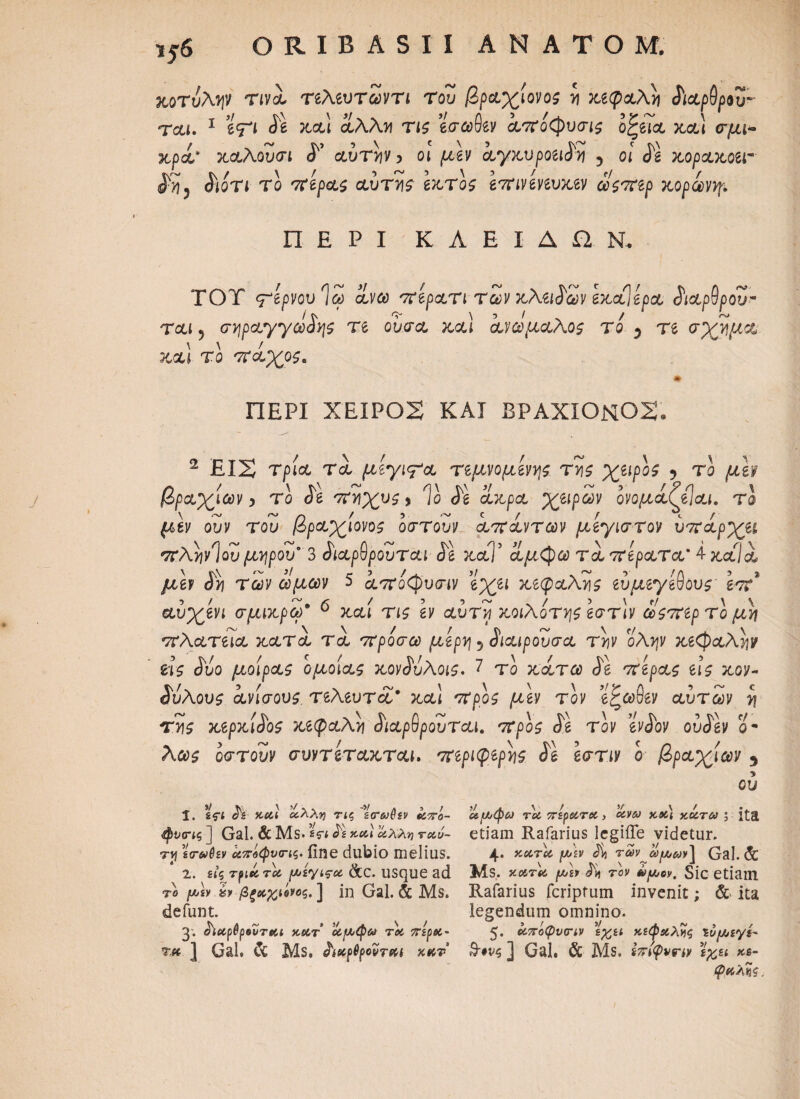 κοτύλψ τινά τελευτωντι Του βραχίονος ν\ χεφαλ)] Siapdpou- ται. 1 eV* Se κ,&ι αλλ>ί Τί£ εσω^εν άπόφυσις οζεια χα) <τμ&- &ρά* χαλουσι αυτήν > οι μεν ayxvpoeiSvj 5 οι Se xopaxoer ίίοΤί το πέρας αυτν\ς έκτος επινενευκεν ωςπερ χορωννρ. ΠΕΡΙ ΚΛΕΙΔΩΝ., TOT ς^ίρνουΙΖ civeo περατι των χλειάων εχαίερα SίαρΟρου- τλι ? σηραγγώδης re oucr& κ,αΐ ανώμαλος το ^ re σχήμα και το πάχος* ΠΕΡΙ XEIPOS ΚΑΙ ΒΡΑΧΙΟΝ02. 2 EIS τρία τά μεγιτ'α τεμνομενης τν\ς χάρος 9 το μεν βραχίων 5 το Ja πτιχυς, Ίο δε αχρα χειρων ονομάζείαι. τα μεν ουν του βραχίονας οστουν απάντων μεγιστον υπάρχει πληνΊου μηρού* 3 διαρθρουται δε χαΤ άμφω τά περατα’ 4 καΊά μεν J>j των ωμων 5 άπόφυσιν εχει κεφαλής ευ μεγέθους- επ% αυχενι σμικρω* 6 χαί τις εν αυτί χοιλοτης εστίν ωςπερ το μ\ πλατεία χατά τά πρόσω μέρη 5 διαιρούσα τνν ολψ κεφαλήν εις δυο μοίρας ομοίας χονδυλοις. 7 το χάτω δε πέρας εις κον¬ δύλους άνίσους. τελευτά* χα) προς μεν τον ’εζωθεν αυτών η ττις χερχίδος κεφαλή διαρθρουται. προς Si τον ένδον ούδεν ο- λως οστουν συντεταχται. περιφερής <5g εστιν ο βραχίων 5 ου ϊ. £fl Λ· και οίλλτη τις ~%<τω$ζν άπο- φνατις ] Gal. & Ms· <^'£ κ&ι άλλη τοιό- τη ϊτωθεν α7Γ6φν<ης. fine dubio melius. 2. ζις rfiuToi μζγις·ω &c. usque ad το μζν isv βξαχ,ιόνοζ. ] in Gal. & Ms. defunt. 3. διαρθρουται κατ αμφω τα πέρα- TM ] Gal, & Ms. ^iUpfyovTKl xaT ?/ Λ \ / >/ \ t οιμφω roc περατα, ανω και κοιτώ ; ita etiam Rafarius legiiTe videtur. 4, κατα μεν Jtj των ωμων] Gal. & Ms, κατα μεν δη τον ωμόν. SlC etiam Rafarius feriptum invenit; & ita legendum omnino. 5. αποφυτιν ίχ,ει κεφαλές ΐυμεγε- &·νς ] Gal, & Ms. ίπιψνην ’εχ,ει κε¬ φαλής