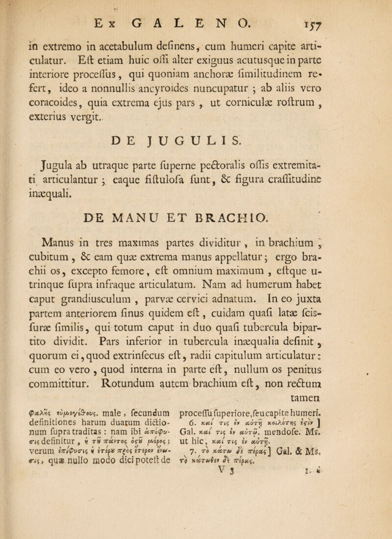 *S7 in extremo in acetabulum delinens, cum humeri capite arti¬ culatur. Eft etiam huic oili alter exiguus acutusque in parte interiore proceiliis, qui quoniam anchorae fimilitudinem re* fert, ideo a nonnullis ancyroides nuncupatur ; ab aliis vero coracoides, quia extrema ejiis pars , ut corniculae roftrum 9 exterius vergit.. D E JUGULIS. Jugula ab utraque parte fuperne pe&oralis ollis extremita¬ ti articulantur ; eaque fiftulofa funt, 6c figura craffitudine inaequali. DE MANU ET BRACHIO. Manus in tres maximas partes dividitur f in brachium 5 cubitum , eam quae extrema manus appellatur, ergo bra¬ chii os5 excepto femore, eft omnium maximum , eftque u- trinque fupra infraque articulatum. Nam ad humerum habet caput grandiusculum , parvae cervici adnatum. In eo juxta partem anteriorem finus quidem eft } cuidam quafi latae icis- fur te fimilis, qui totum caput in duo quafi tubercula bipar¬ tito dividit. Pars inferior in tubercula inaequalia definit 5 quorum ei,quod extrinfecus eft, radii capitulum articulatur: cum eo vero , quod interna in parte eft, nullum os penitus committitur. Rotundum autem brachium eft, non rectum tamen «ujw/gysS-ονζ, male, fecundum definitiones harum duarum dictio¬ num fupra traditas: nam ibi άτό<ρϋ- (Πζ definitur . tl rS ττάντος ός-S Μέρος ; , / < < / \ r/ V VerUlll ε7ηφναΊζ v ετερα πξος ετερον tw- > quae nullo modo dicipoteft de procefiu fuperiore,feu capite humeri. 6. nui τις εν ccurvj χοιλοτης εςtv J Gal. κ»ί τις h ccvrc?. mendofe. Ms. Ut hic , τις h <56Jrij. y. το κάτω ίί πέρας ] Gal. & MS. v 3 li ¥