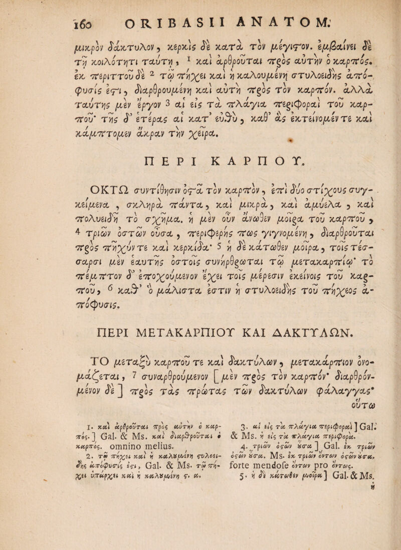ORIBASII ΑΝΑΤΟΜ: μικρόν άάκτυλον, κερκις <5g κατά τον μεγι<?*ον. Ιμβαιηι SI τη κοιλοτητι ταύτη * 1 κα\ άρθρουται ίΐζος αυτήν ο καρπός. Ικ περιττού Sl 2 τω π'ηχει κα) η καλούμενη στυλοεώης από-, φυσίς ε<γι 5 άαρθρουμενη κα\ αυΤη ποος τον καρπόν. αλλοΐ τ αυτής μεν εργον 3 cu gj$ τα πλάγιά πεξίφορα] του καρ- που' της S’ ετερας αι κατ' ευ3ίυ 5 καθ’ εκτείνομεν τε και κάμπτομεν άκραν την χειρα. ΠΕΡΙ ΚΑΡΠΟΙ ΟΚΤΠ συντιθησιν οπά τον καρπόν, επ\ Suo στίχους συγ¬ κείμενα , σκληρά πάντα 5 ?cct! μικρά 5 xctt άμυελα 5 ?tcu πoλυειSη το σχήμα, η μεν ουν άνωθεν μοι^α του καρπού y 4 Tpii)y οστών ουσα , περιφερής πως γιγνομενη y άιαρθρουται πξος πηχυντε κα) κερκιάα* 5 >j St κάτωθεν μοίρα 5 τοιςτεσ- σαρσι μεν εαυτης οστοις συνηρθξωται τω μετακαρπίω' το πεμπτον S’ εποχουμεν ον εχει τοις μερεσιν εκεινοις του ?c&g- *7ro^j 6 ^0,3·’ ο μάλιστα εστιν η στυλοειάης του πηχεος α· ποφυσις„ ΠΕΡΙ ΜΕΤΑΚΑΡΠΙΟΥ ΚΑΙ ΔΑΚΤΤΑΠΝ. ΤΟ μεταζυ καρπού τε κ,&ι άακτυλων 5 μετακάρπιον ονο¬ μάζεται , 7 συναρθρούμενον Γ μεν πξος τον καρπόν* SiapQpov- fmoy ie ] 'Trgss tus πρωτας των Saκτύλωv φάλαγγας* ϊ· κ#ί οίρΒρουτχΐ πραζ χυτ»ν ο χαρ- τβς. ] Gal. & Ms. x*t λχρΒ-ρουτχι i χκρπός. omnino melius. 2. τ» 7rvi%u χχι yj χχλΗμίΊΥ) ςνλοα- 3/,ς 6&πόφν<τ/ς ίςι, Gal· & Ms· τίϊ 5T>j- νπχρχα ή χχλα^ίνη f· θίίτώ) 3. £ί’ς rac πλάγια Τίρ^ορ&ί J Gal· & Ms. ii £<’ς τλ πλάγια, πίριψορά, 4· τριών οςων kara J Gal. £*. τριών οςων htcc. Ms· £*- rpt^y βΐ/riyv oV^v a<rii, forte mendofe «T»y pro eVr»s. 5. « KtijwUv f^°^] Gal. & Ms. c