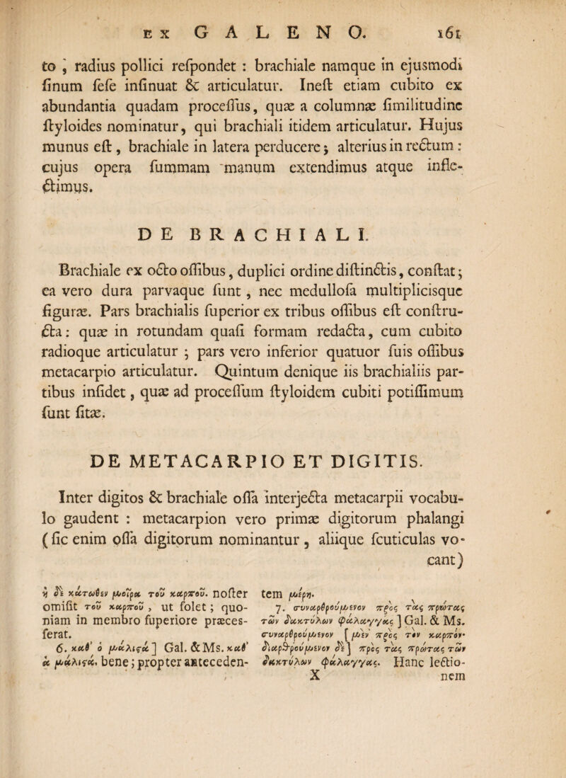 to j radius pollici refpondet : brachiale namque in ejusmodi finum feie infinuat articulatur. Ineft etiam cubito ex abundantia quadam proceffus, quae a columnae fimilitudinc ftyloides nominatur, qui brachiali itidem articulatur. Hujus munus eft , brachiale in latera perducere j alterius in redtum : cujus opera fummam manum extendimus atque inflc- ftimys. DE BRACHIALI. Brachiale ex odto oilibus, duplici ordine diftindtis, conftat; ea vero dura parvaque funt, nec medullofa rpultiplicisque figurae. Pars brachialis fuperior ex tribus ofiibus eft conftru- dta: quae in rotundam quaii formam redadta, cum cubito radioque articulatur ; pars vero inferior quatuor fuis offibus metacarpio articulatur. Quintum denique iis brachialiis par- tibus infidet , quae ad proceffum ftyloidem cubiti potiflimum funt fitae. DE METACARPIO ET DIGITIS. Inter digitos 6c brachiale ofia interjedta metacarpii vocabu¬ lo gaudent : metacarpion vero primae digitorum phalangi (fic enim offa digitorum nominantur , aliique fcuticulas vo¬ cant) i & KUTuiiv f&cTpx τοZ χάρτου, nofler omifit του χάρτου, ut folet; quo¬ niam in membro fuperiore prasces- ferat. 6. xccd’ ό Gal. &Ms. xu6‘ k bene; propter anteceden¬ tem ■ . / V \ f 7. <rvvxp6pov[Xiivov τξος τχς τρωτχς των δακτύλων φαλαγγάς ] Gal. & Ms. cvvctp6potji/jtvov Γ ι/Λν τρο(, τ*ν Χύίρτόν Q. ' / κΛ \ ’ \ / Γ ~ oiXpirpovyjivov όί ] τρας Tctc, τρωτοίς τω» δακτύλων ψκλκγγαζ. Hanc leftio- X nem