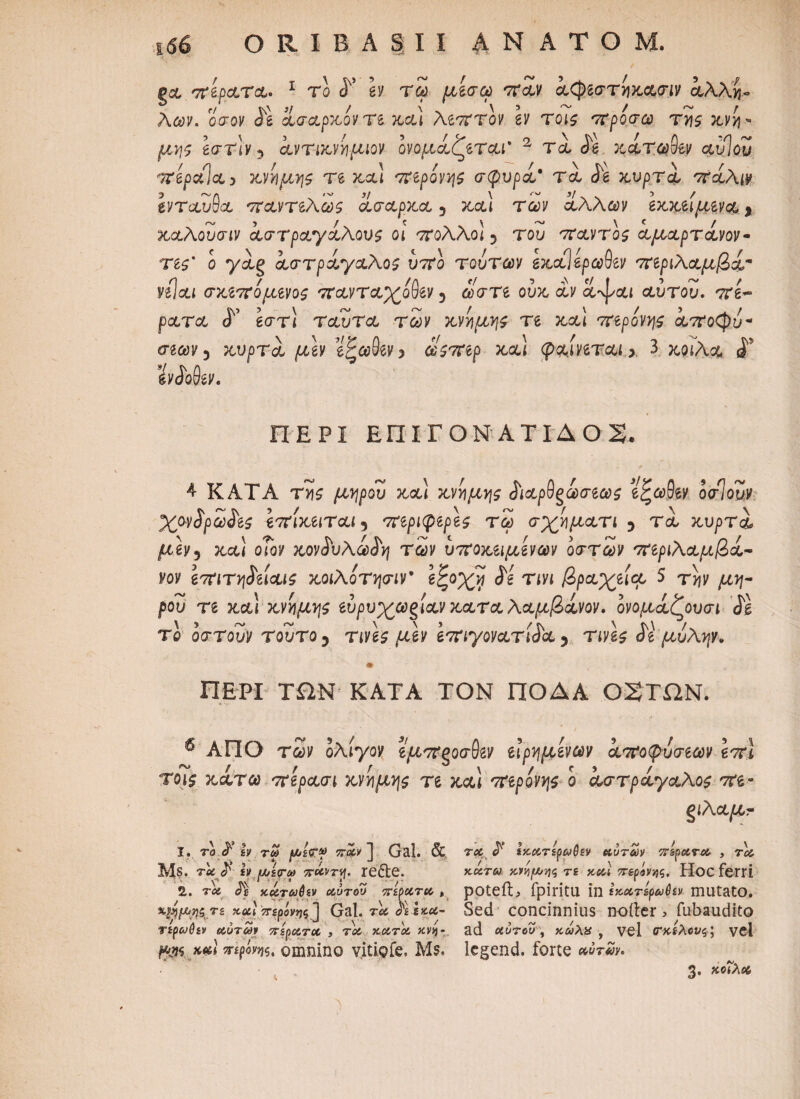 O R I Β A § I I A N A T Ο M. ga ττάρατα. 1 το P h τω μισώ στάν άφβστίκασίν άλλ?}- λύόν. QCTOV οίσαρκονΤβ καί XiTtTOV 6V ΤΟΙζ 'Τροσω Τϊ]ζ XVV\* μν\5 \στ\ν 5 ίντιχνήμιον ονομίζρτφΐ' 2 τα il κάτω^ ccvlou Trepalccy χννμηί Te και Trepov^ σφυρί* τα <ie κυρτά 'ττάλιν ένταυθα οταντβλως ασαρκα 5 και των άλλων eaaeipteva * καλουσιν αστραγάλους οι ττολλοϊ 3 του σταντος αμαρτάνον- ης' ο yag αστράγαλος ύοτο τούτων excclepaSev σπριλαμβί* νίίοίΐ σχιπομινος yravTa^oOev 3 ciVTe ούκ αν αυτου. ore- ρατα «Γ 6στί ταΐίτα των κνήμης τι καί οτβρον^ς άοτοφυ- σεων 3 κυρτά ptev έξωδβν > iWep καί (pa.iveTai * 3 κοίλα <Γ evjofev. ΠΕΡΙ ΕΠΙΓΟΝ ATIAOS. 4 ΚΑΤΑ τϊς ρ^ρου καί χημης άιαρθ§ωσβως εξωθβν οσίουν χανίρω^ς eoriVeiTai, 'τηριφβρβς τω σχημοίτι 3 τα κυρτά ρ<άν3 &αί οΤον χον^υλω^η των ύττοχζιμβνων οστών οηριλαμ/Βά- νον βοτιτ^ίαις χοιλότησιν* εζοχγ cis τινι /3pa^eia 5 t>jv ρου Te καί κνίρ^ς ευρυχωρίαν χφτφ λοομβίνον. ονομάζουσι ίΐ re οστουν τούτο 3 τινές ptev β'ττιγονατίάα 5 τινές cie μύλψ. • ΠΕΡΙ ΤΠΝ ΚΑΤΑ ΤΟΝ ΠΟΔΑ 02ΤΩΝ. ^ ΑΠΟ των ολίγον ?ρ£7Τ§οσδδν ίιρημενων αποφύσεων Ιπι τοις κάτω ττάρασι κνήμης τέ καί orepov^ ο αστράγαλος ore- giAapcr 1. το Ιν 7rav J Gal. & τα $ Ικοιτέρωθεν αυτών ττερατα , τα, Ms. τ<* <^’ Ιν /ΛίΤίο πΜτη. re&e. χ«τ« κν^^ς τε κ&; ?τέρ«ν>)ς. Hoc ferri 2. τοί κάτωθεν αυτου τέρατα , poteil> fpiritU in εκατέρωθεν miltatO. χφίμηξ τε χαά πψννκ] Qal. τλ Sed concinnius noiler , fubaudito τερωθεν αυτών τέρατα, τα κατά χνη-, ad οίοτβν , κωλ« , vel (Γκίλοι/ς; vel pw *** omnino vitiofe, Ms. legend. forte »yr*>y. ^ ^ -r 3. κοίλοδ