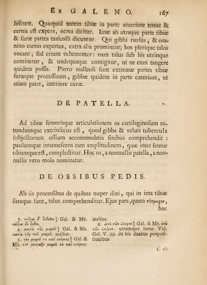 GALENO. ϊ&γ Biicunt. Quicquid durem tibi* in parte anteriore tenue & carnis eft expers, ocrea dicitur. Imas ab utraque parte tibise & furas partes maleolli dicuntur. Qui gibbi rurfus , &om- nino carnis expertes, extra alia prominent* hos plenque talos vocant; fed errant vehementer: nam talus fub his utrinque continetur , Bc undequaque contigitur, ut ne eum tangere quidem poiiis. Porro malleoli funt extremae partes tibiae furasque proceiluum, gibbae quidem in parte exteriore, ut etiam patet, interiore cavae. DE PATELLA, Ad tibiae femorisque articulationem os cartilaginofum ro- tundumque extrinfecus eil, quod gibba 6c veluti tubercula fubjeborum oflium accommodatis finibus comprehendit : paulum que intumefcens eam amplitudinem, quae inter femur tibiamque eft, complebitur. Hoc os, a nonnullis patella 5 a non* nullis vero mola nominatur. DE OSSIBUS PEDIS, X - .J G · Ab iis procesfibus de quibus nuper dixi, qui in ima tibiae furaque funt, talus comprehenditur.Ejus pars,quam τίτj>wgov9 hoc 3. $ iv^odin ] Gal. Ms. melius. xtiXct, <^£ iv^ov. 6· άπατων ολίγον ] Gal. & Ms. vxe 4. >curio μ>'/ιγοΰ· J Gal. & Ms, των ολίγον, utnimcjue bene. Vid. vchtu. της τοΖ μψυ. melius. Gal. V. 99. de his duabus prsepofi- 5. r»v f/jtjpou τε aci} ανίι^ηζ] Gal. & tiODibUS. Ms, rW (ΑίηΑ&υ ihvmu rs acci.χννΜ/ης· * ~ . ι. Φ