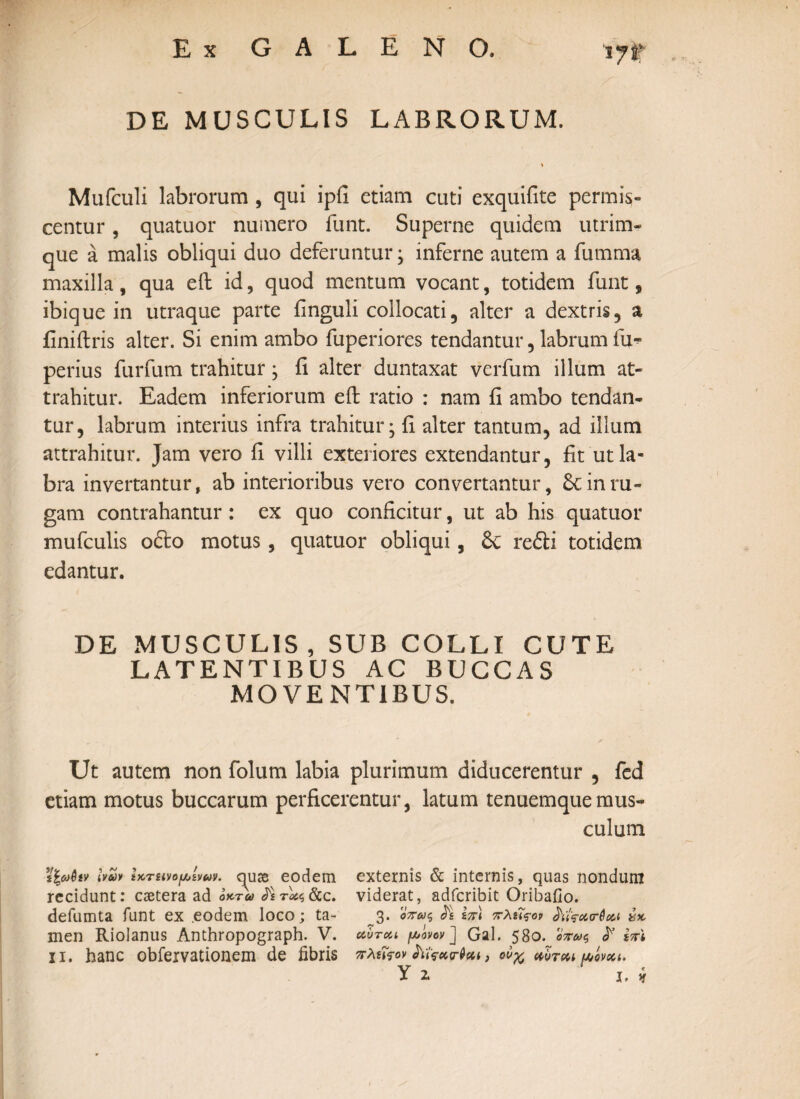 DE MUSCULIS LABRORUM. ♦ Mufculi labrorum , qui ipfi etiam cuti exquifite permis¬ centur , quatuor numero funt. Superne quidem utrim¬ que a malis obliqui duo deferuntur; inferne autem a fumma maxilla, qua eft id, quod mentum vocant, totidem funt, ibique in utraque parte finguli collocati, alter a dextris, a finiftris alter. Si enim ambo fuperiores tendantur, labrum fu* perius furfum trahitur ; ii alter duntaxat verfum illum at¬ trahitur. Eadem inferiorum effc ratio : nam fi ambo tendan¬ tur, labrum interius infra trahitur; fi alter tantum, ad illum attrahitur. Jam vero fi villi exteriores extendantur, fit ut la¬ bra invertantur, ab interioribus vero convertantur, 6c in ru¬ gam contrahantur : ex quo conficitur, ut ab his quatuor mufculis ofto motus, quatuor obliqui, refti totidem edantur. DE MUSCULIS, SUB COLLI CUTE LATENTIBUS AC BUCCAS MOVENTIBUS. Ut autem non folum labia plurimum diducerentur , fed etiam motus buccarum perficerentur, latum tenuemquemus¬ culum i%o)hv ινω* Ικπινομ,ίνων. quas eodem recidunt: caetera ad οκτώ defumta funt ex eodem loco; ta¬ men Riolanus Anthropograph. V. ii. hanc obfervationem de fibris externis & internis, quas nondum viderat, adfcribit Oribaiio. 3. όπως Ιπ\ πλίθον jY<V&cr6oe,i ύκ ccOtcu μόνον] Gal. 580. όπως F in\ πλίΐ?ον , ονχ dlrcu μόνοα. Υΐ ι. *