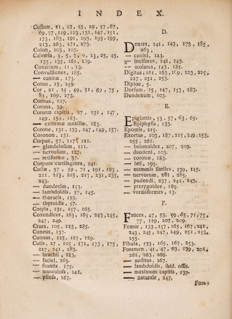 Collum, si, 13, 25, 29, 57 >6?» 69,77,119,^3,131,147,151, 173, 183, 191, 193, 195^99, 213, 263» 27*} z73· Colon, 103, 107. Calvaria, 3 , 5, 7 > 9, 23 , 25, 45, 4 133 , i35> 261, 259. Conarium , 11 , 13. Convulilones, 185. ■— caninas ,173. Conus, 13, 259. Cor , 21 , 25 , 49, 51, 69 > 75 > 81, 169, 273. Cornua, 127. Corona, 39. Coronis capitis , 27 , 131 , 147 , 149, 159, 183. —* extremas maxillae, 183. Corone, 131 , 133 , 147,149,157. Coronon , 131. Coipus, 57 , 117? 121. -— glandulofum , m. —«* nervofum, 127. retiforme , 37. Corpora cartilaginea, 141. Coit©., 57 , 59 , 71 , 191» χ93 , 211 > 213, 2x5, 217, 231,235, 243< — duodecim, 153. lambdoidis, 57, 145. —— thoracis , 155, —thyroidis, 57. Cotyla, 131, 157 , 165. Coxendices, 163, 165, 243,245, 247, 249. Crura, 105, 123, 285· Cuneus, 137. Cunnus, 125, 127, 129. Cutis, 27 , 105 , 171, 173·, 175, 227 , 241 , 283.. T- brachii , 283. — faciei, 263. frontis, 175. musculofa, 141; ■^sr^pilofa, 267® D. entes, 141, 143» 173 > 185, 263 , i, — canini, 143· — incifores, 141, 143. — molares, 143, 185- Digitus> 161, 163,169» 223 , 215 , 227 , 251, 253. Diploe, 5. Dorfum. 75, 147, 153, 283® Duodenum, 103. E, Epiglottis, 53 > 57 > 61> 65* Epipnyfis, 133· Epomis, 215. Exortus, 103,187,215,249,253, 255, 261. — beionoides , 207, 209. — duodeni, 103. — corona, 183. — lati, 195. —- mammis fimiles, 139, 145» — nervorum, 281 , 285. — pudendi, 237, 241, 243* —- pterygoides , 185. ~~ vermiformes, 13. F. Fauces, 47, 53, Ϊ9.<5S.7i.?5» 77 , 129, 207 , 209. Femur, 133 > 157 > ^5 » 167,241, 243» 245 > 247» 249, 251,253* 255· Fibula, 133, 165, l67> 253* Foramen , 41, 47, 63 , 139» 261, 263» 265· —— auditus, 267. ·— lambdoidis, ibid. offis. ·— maximum capitis, 139. *— naturale, 247. fc*a 4