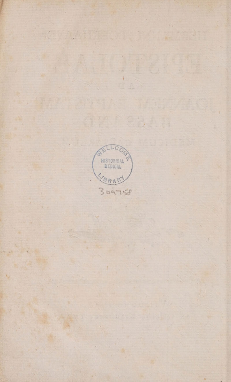 Y RC A Mir Means &n- Ns jou eiie ica, vid d *. od ud Jd e s ub. E $t eM m m 2 EZ RW : * 5 » BA A d hir A Ves anie