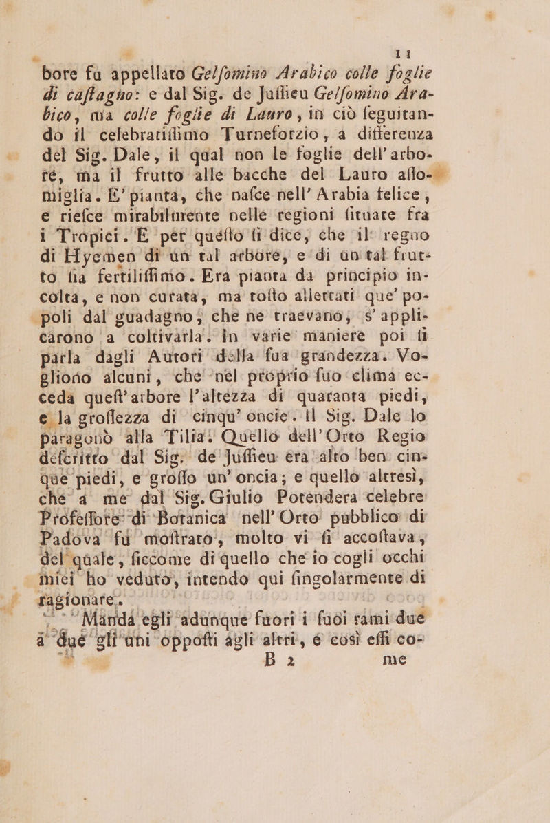 bore fa appellato Ge//omino Arabico colle foglie di caffagno: e dal Sig. de Jaflieu Ge/fomino Ara- bico, mia colle fogiie di Lauro, in ciò feguitan- do il celebratiflimo Turneforzio, a differenza del Sig. Dale, il qual non le foglie dell’arbo- fé, ta il frutto alle bacche del Lauro aflo- miglia. È’ pianta, che nafce nell’ Arabia felice, e riefce mirabilmente pelle regioni fituare fra i Tropici. E per quefto li dice, che il’ regno di Hyemen di'un tal arbore, e ‘di an tal frur- to lia fertiliffimo. Era pianta da principio In- | colta, e non curata, ma rolto allettati. que’ po- ‘ poli dal guadagno; che ne traevario; s’ appli. carono ‘a coltivarla'. în varie maniere poi &amp; parla dagli Autori della fua ‘grandezza. Vo- gliorio alcuni, che ‘nel proprio fuo ‘clima ec- ceda queft'arbore l’altézza di quaranta piedi, e la groflezza di cinqu’ oncie. Il Sig. Dale lo paragonò alla Tilia. Quello dell'Orto Regio deferitto dal Sig. de Juffiew era ‘alto ‘ben. cin que piedi, e groffo un’ oncia; e quello ‘altresì, ché a me gal Sig.Giulio Potendera celebre Profetfote di Botanica ‘nell’Orto’ pubblico: di Padova fu 'moftraro’, molto vi fi accoltava, del quale, ficcome di quello che io cogli occhi miei ho veduto, intendo qui fingolarmente di ragionare. È &gt; DIbq ©“ Manda egli adunque fuori i fudi rami due a due gli ‘uni ‘oppoîfti agli altri, 6 così effi co+ # B 2 me