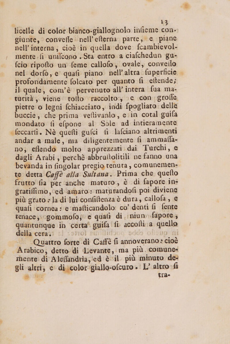 licelle di color bianco-giallognolo infieme con- giunte, convefle: nell’elterna parte, e piane nell’interna, cioè in quella dove fcambievol- miente .fi unifcono .. Sta entro a ciafchedun gu- fcio ripofto un feme callofo, ovale, convello nel dorfò, e quali piano nell'altra fuperficie profondamente folcato per quanto fi eftende; il quale, com'è pervenuto all’ intera fua ma- turità ;, viene tolto ‘raccolto:, ;c con ;grofle pietre o legni fchiacciato,, indi fpogliato: delle buccie, che prima veftivanlo, ein coral guila mondato fi efpone al Sole ad intieramente ‘feccarfi. Nè quefti gufci fi lafciano altrimenti andar a male, ma diligentemente fi ammafla- no; eflendo molto apprezzati dai Turchi, e dagli Arabi) perchè abbruftolitili ne fanno una bevanda in fingolar pregio tenuta, comunemen- te detta Caffè alla Sultana. Prima che. quefto frutto! fia per anche maturo, è di fapore in&gt; sratiffimo, ced ‘amaro: maturandofi poi diviene più grato «la di lui confiltenza è dura, callofa, e quafi cornea : ‘e ‘mafticandolo: co’ denti fi fente. tenace; gommofo;! e quali di .inium.fapore; quantunque in certa’ guifa fi. accolti. a quello della Ceraci : strol sro ados go ni . Quattro forte di Caffè fi annoverano » cioè Arabico; detto di Levante, ma più. comune rhente: di Aleffandria,'ed è ‘il più minuto de: gli altri; e diicolorgiallo-ofcuro + L’ altro. fi $i der tra-