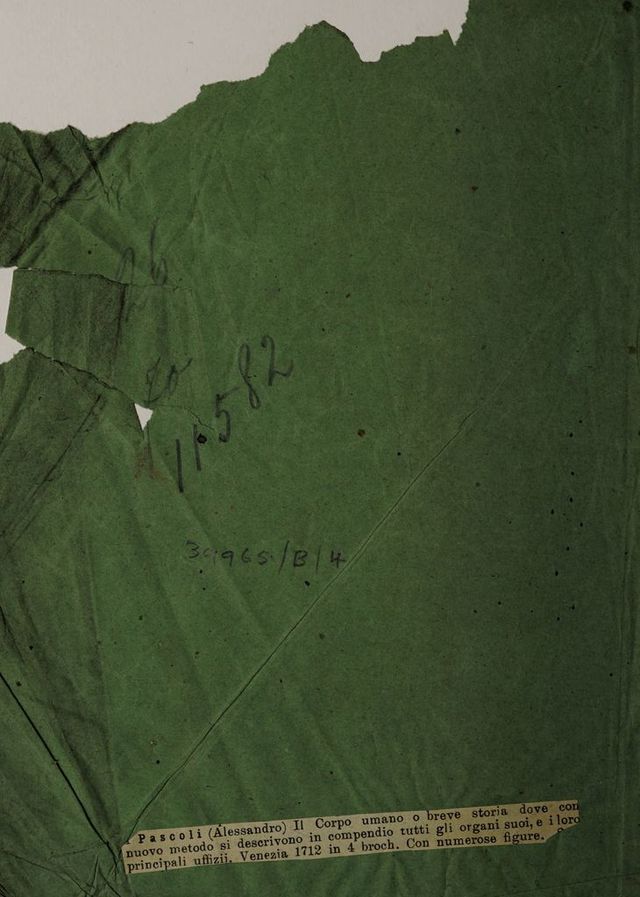 digitised image 2