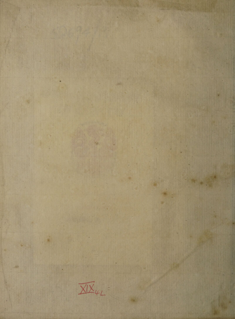 ■>** ilL u . yp-t'' * «