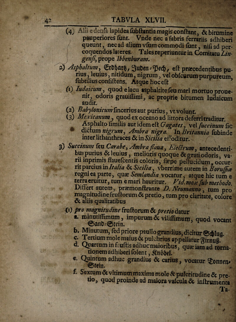 (4} Alii e denfa lapidea fubftantia magis conflant ,& bitumine , pauperiores funr. Vnde nec a fabris ferrariis adhiberi queunt, nec ad alium vium commodi funt, nifi ad per¬ coquendos lateres. Talesreperiuncurin Comitatu Lin- genfi, prope Ibbenburam. z) Asphaltion, ©fo&att, SuCett^e#, eff praecedentibus pu¬ rius , leuius, nitidum, nigrum , vel obicurum purpureum fabrilius coniiflens. Atque hocett (1) ludaicum, quod elacu asphaltitefeumari mortuo proue- nit, odoris grauiffimi, ac proprie bitumen ludaicum audit. (2) BabyIonicumbmzvnmaut purius, vtvolunt. i 3) Mexicanum , quod ex oceano ad littora deferri traditur. Asphalto fimilis aut idem eft Gagates, vel [uc tinum didtum nigrum y Ambra nigra. In Britannia fubinde inter lithanthraces & in Sicilia effoditur. ; /C\ 3) Saccinum feu Carabe, Ambraflaua, Uech ion, antecedenti¬ bus purius & leuius, melioris quoque & grati odoris, va¬ rii inprimis fiauefcentis coloris, ftepe pellucidum,occur¬ rit parcius in Italia &. Sicilia, vberrime autem in Borulpce regni ea parte, quae Semlandia vocatur, atque hic tum e cruitur, tum e mari hauritur. V,id. mox fub methodo. Differt autem, praemonftrante D. Neumanno, tum pro magnitudinefruftorum & pretio, tum pro claritate, colore & aliis qualitatibus fi) pro magnitudine fruftorum & pretio datur t. minutiffimum, impurum & viliffimum, quod vocant b. Minutum, fed priore paullo grandius, dicitur ©dblug. c. Tertium rnolemaius&pukhrius appellaturgttnuft. d. Quartum in fruftis adhuc maioribus, quae iam ad torna- tionem adhiberi iolent, e. Quintum adhuc grandius & carius, vocatur c£ot»1M* ©fetn. / «/j f. Sextum &vltimum maxima mole &pu!critudine& pre¬ tio, quod proinde ad maiora vafcula & inftrumenta