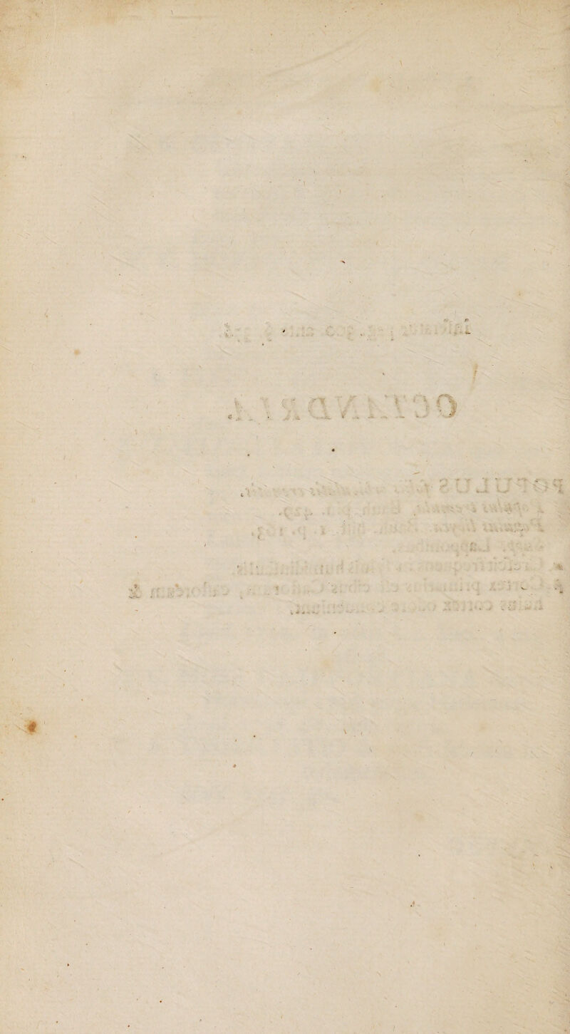 \ \ ( h t * • '• * ' * *-T ..... - ' ■ ’i ■ . '. - '• « ' - . O -■ . . . ■ x - .* ✓ . v . ~ V* / \ .