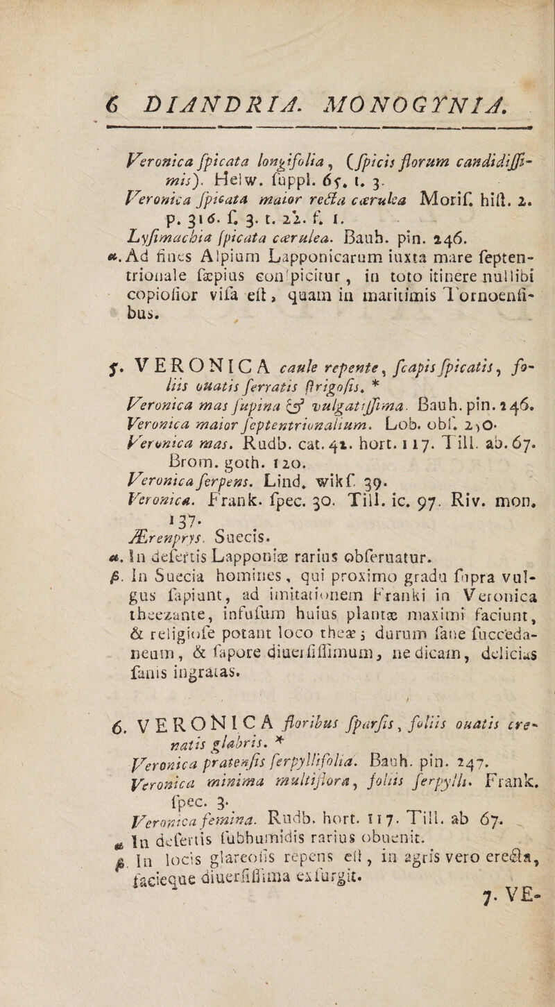 Veronica [pieafa lon^ifolia , ([picis florum candidijft- mis). Heìw. Tappi. t. 3. Veronica [pinata maior roda cantica Morif. hift. 2. p. 31 6. f. 3. t. 22.. f* I. Lyfimacbia fpicata cerulea. Bauh. pin. 246. «.Ad fin'es Alpiam Lapponicarum iuxta mare fepten- trionale fsepius eon'picitur, in toto itinere nullibi copioiìor vifa eli, quam in maritimis Tornoeniì- bus. 5’. VERONICA caule repente, fcapis [picatis, jfo- liis ouatis [erratis (ìrigojìs. * Veronica mas lupina & vulgatijfima. Bauh. pin. 146. Veronica maior [eptentrionahum. Lob. obi. i^O* Veronica mas. Rudb. cat. 41. hort. 117. ì ili. ab. 67. Brom. goth. r 20. Veronicaferpens. Lind. wikf. 39. Veronica. Frank, fpec. 30. Till. ic. 97. Riv. mon. 137- JErenprys. Suecis. «. In defertis Lapponios rarius ©bfertiatur. fi. In Succia homines, qui proximo grada fnpra vul- gus fapiunt, ad imitationem Franki in Veronica thcesante, in fu Tom huius pian tee max imi faciunt, & religiofe potant loco thea?5 duroni fatìe fucceda- ueum, & fapore diueififliinuni 3 nedicam, ddicias fani s ingràias. 6. VERONICA floribus fpiirjis, foliis ouatis ere*> naiìs glabris. * Veronica pratenfis ferpyllifoha. Bauh. pin. 247. Veronica minima multipara, johis [erpylh. Frank, fpec. 3> Veronica [emina. Rudb. hort. 117. Till. ab 67. ^ In defertis iubbumidis rarius obuenit. fi In locis glareoiis repens eli, in agris vero eretta, facieque diuerfiflima exiurgit. 7. VE»