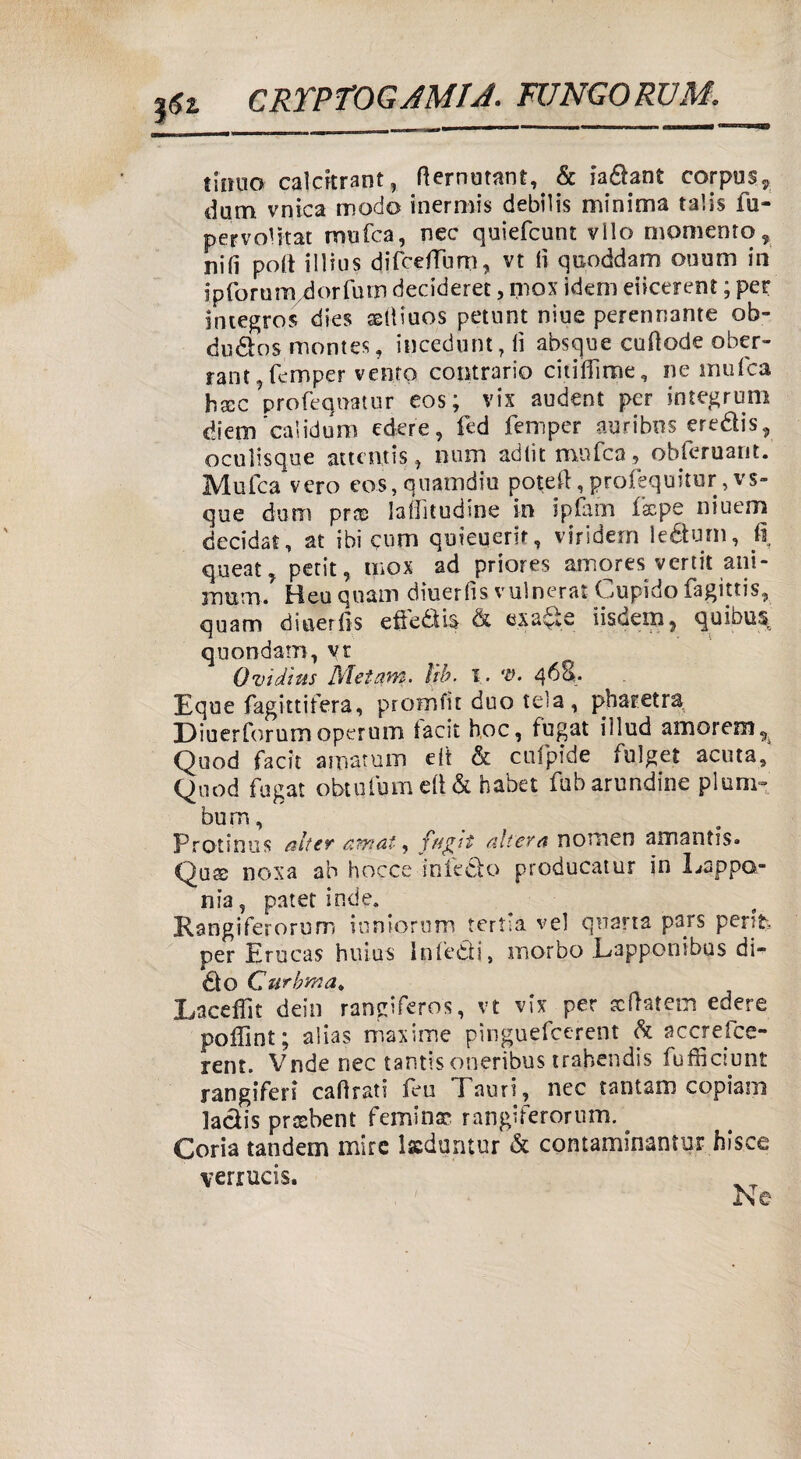 tiinio calcitrant, flernutant, & ia&anE corpus, dum vnica modo inermis debìlis minima talis fu- pervolitat ninfea, nec quiefcunt vilo momento, nifi poli illius difceffum, vt fi quoddam ouum in ip forti m/d or fu in decideret, mox idem eiicerent ; per integro? di-es ssfiiuos petunt niue perennante ob- dudos monte*, iucédunt, fi absque cufiode ober- rant,femper vento contrario citilfìme, ne mufca hxc profequatur eos; vix audent per integrum diem calidum edere, fcd femper auribns eredis, oculisque aucntis, num adtit mufca, obferuant. Mufca vero eos,quamdiu potefi,profequitur,vs- que dom pvx laffitudine in ipfam facpe niuem decida!, at ibi cum quieuerir, viridem ìeótum, fi queat, petit, mox ad priores amores vertit ani- nmm. Heu quam diuerfìs vulnerai Cupido fagittis, quam diuerfis efledis & exa^te iisdeni, quibus quondam, vt Ovidtus Metani. ìib. i. '£>. 46S. Eque fagittifera, promfìt duo tela , pbatetra Diuerforumoperum tacit hoc, fugai iìlud amorem,. Quod facit amatum eit & cufpide fulget acuta,' Quod fugai obtufum efi & habet fubarundine plani- bum, Protinus alter amai, fagit altera nomen amantis» Qus noxa ab bocce infedo producala? in Lappa¬ nte, patet inde. Kangiferorum inniorum tertla ve] quarta pars perifc per Erucas hitius Infedi, morbo Lappooibus di¬ do Curbma* Laceffit dein rangiferos, vt vix per scftatem edere poffint; alias maxime pìnguefcerent & accrefce- rent. Vnde nec tantisoneribus trabendis fufficiunt rangiferi cafirati fèu I auri, nec tantam copiam ladis prtebent feminsc rangiferorum. Coria tandem mire lsduntur & contaminantur hisce verrucis. I\e