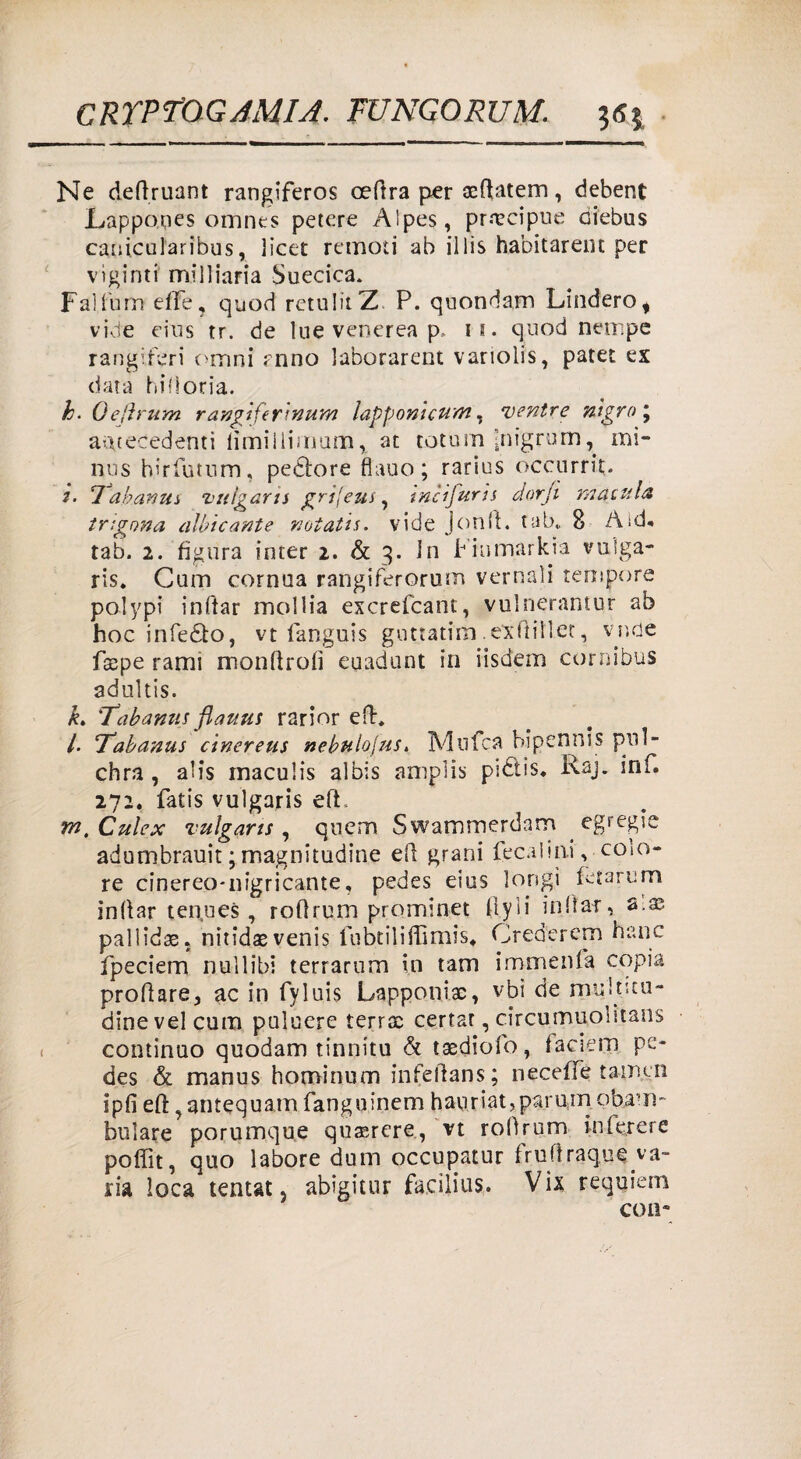 Ne deftruant rangiferos oeftra per xftatem, debent Lappones omnes petere Alpes, precipue diebus cauicularibus, licei remoti ab illis hahitarent per vìginti mi Diaria Suecica* Falfum effe, quod retuIitZ. P. quondam Lindero* vide eius tr. de lue venerea p, 11. quod nempe rangiferi omni rnno laborarent varioìis, patet ex data hi(loria. h.Qefìrum rangiferinum lapponi curri, ventre nigro ; antecedenti fìmillimum, at totum Inigrum, ini- nus hirfutum, pedlore fiauo; rarius occurrit. 2. Yabanus vulgaris grìjeus, incifuris dorji macula trigona albicante notatis. vide jonft. tab» 8 Aid* tab. 2. figura inter 2. & 3. In Fiumarkia vuìga- ris. Cum cornua rangiferorum vernali tempore polypi inftar mollia excrelcant, vulnerantur ab hoc infedto, vt fanguis guttatim exfiiìlet, vnde faspe rami monftrofi euadunt in iisdem co mi bus adultis. k. Yabanns flauus rarior eft. /. Yabanus cinereus nebulojus. Muffa bipennis pnl- chra , alis inaculis al bis ampli* pidtis, Raj. inf. 272. fatis vulgaris eft. m.Culex vulgaris, quem Swammerdam ^egregie adumbrauit ; magnitudine ed grani Rea lini, colo¬ re cinereo-nigricante, pedes eius longi letarum infiar tenues , roflrum prominet flyli inda*, 2:X pallidae, nitidaevenis fubtiliffimis. Crede rem hanc fpeciem nuli ibi terrarum in tam immenfa copia proftare, ac in fyluis Lapponi.®, vbi de muincu- dinevelcum puluere terrx certar, circumuolitans continuo quodam tinnitu & txdiofo, faci e in pe¬ des & manus hominum infeffans; neceffe tamen ipfi eli ,antequam fanguinem hanriat,paru.m,ob.atn- biliare porumque quxrere, vt rolìrum in Ter ere poffit, quo labore dum occupatur fruiiraque va- ria loca tentata abigitur facilius. Vix requiem con-