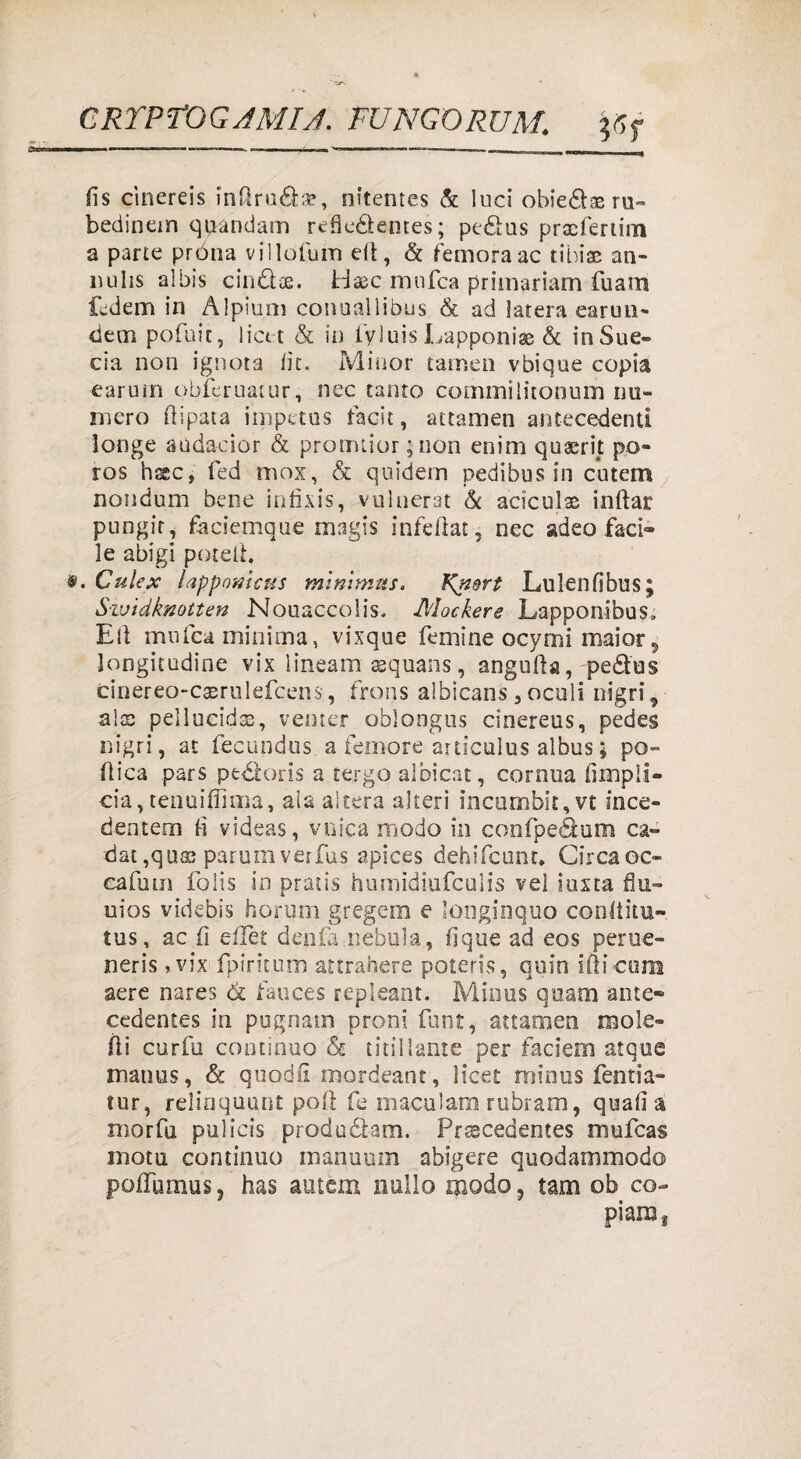 CRTPTOGJMIJ. FUNGORUM. Yf fifi fis cìnereis inrtru&a?, nitentes & luci obie&se ru~ bedinern quandam redeéìemes; ptdìus prscfertim a parte pròna villofum ert, & femoraac tibiae an- nulis al bis cin&te. Haec ninfea primariam fuam Edem in Aipium conuallibus & ad lacera earun- dem pofuic, liete & in fyluis Lapponi^ & in Suc¬ cia non ignota rtt. Minor tamen vbique copia earuìn obferuatur, nec tanto cominilitonum nu¬ mero rtipata impetus facit, attamen antecedenti longe audacior & protmior ;uon enim quaerit po- ros hsec, fed inox, & quidem pedibus in c’utem nondum bene infìxis, vulnerar & aciculae inftar pungir, faciemque magis infettai, nec adeo faci» le abigi potelh • . Culex lappomcus mìnìmus. Kn&rt Lulenrtbus; Swìdknotten Nouaccolis, Mockere Lapponibus» Eli ninfea minima, vixque femine ocymi maior, longitudine vix lineam aequans, angurta, peòtos cinereo-caerulefcens, frons albicans, oculi nigri, alce pellucida, venter oblongus cinereus, pedes nigri, at fecundus a femore articulus albus ; pe¬ rtica pars ptéloris a tergo albicar, corona fìmpii- cia,tenuiflìma, aia altera alteri incombit,vt ince- dentem fi videas, vnica modo in confpeàum ca¬ rtai ,quae parumverfus apices dehifeunr» Circaoc- eafum folis in pratis humidiufculis ve! insta flu- uios videbis borimi gregem e longioquo conrtitu- tus, ac.fi effet denfa n.ebula, fique ad eos peroe- neris, vix fpiritum attrahere poteris, quin irti cura aere nares Óc fauces repleant. Minus quam ante» cedentes in pugnam proni font, attamen mole- fti curfu continuo & titillante per facieiu atque matius, & quodfi mordeant, licer minus fentia- tur, relinquunt poi! fe macularli rubram, quarta morfu pulicis produéìam. Prsscedentes mufeas mota continuo manuurn abigere quodainmodo poflumus, has autem nullo modo, tara ob co¬ piare,