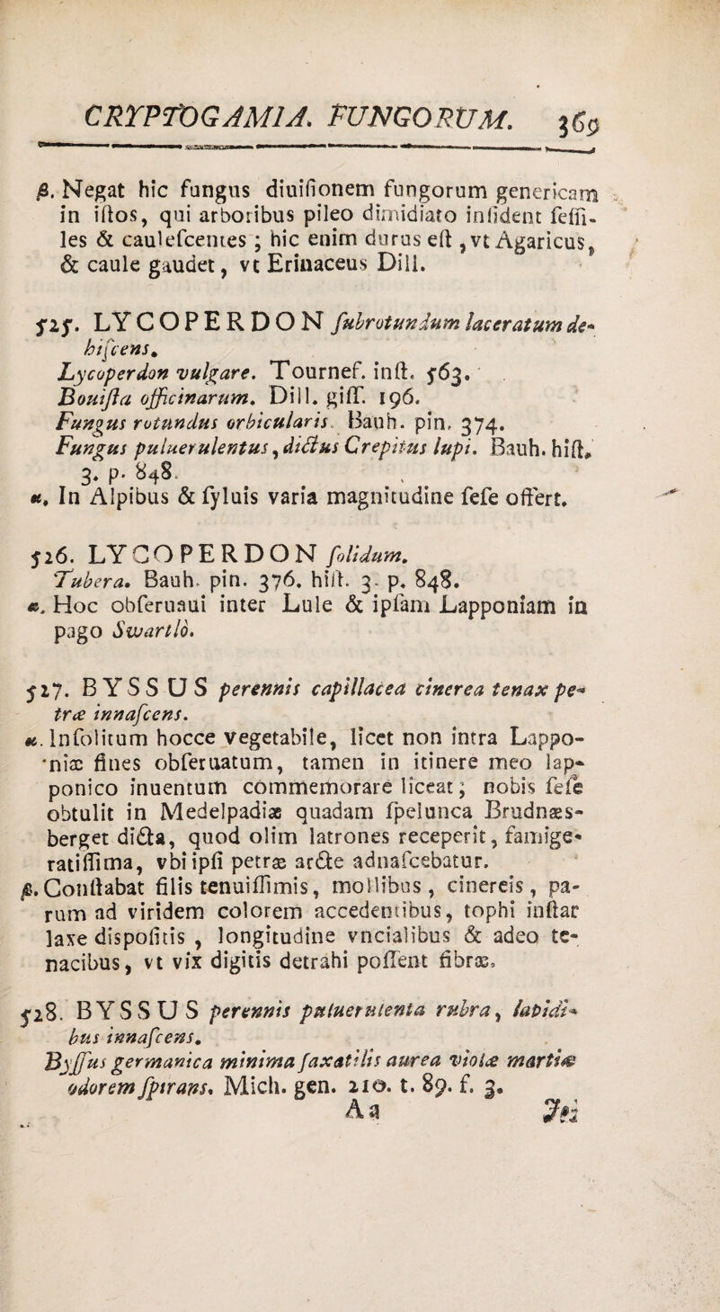 fi. Negat hic fangns diuifìonem fungorum genericam in iltos, qui arboiibus pileo dimidiato infìdent felli- les & cauìefcemes ; hic enim doras eli, vt Agaricus^ & caule gaudet, vt Erinaceus Dili. flf. LY COPERDON fubrotundum laser atum de* hifcens* Ly caper don vulvare. Tournef. inft. yój. Bonifici officinarum, Dii 1. gifT. 196. Fun^us ruttindus orbicularis Bauh. pin, 374. Fungus puiuerulentus, diélus Crepititi lupi. Bauh. hi(E 3. p. 848. «, In Alpibus & fyluis varia magnitudine fefe oftert, 526. LY COPERDON folidum. Tuberà. Bauh. pin. 376. hiiì. 3. p. 848. Hoc obferuaui inter Lule & ipfam Lapponiam in pago Swarllò. 527. B YS S U S perennis capillacea cinerea tenax pe* tra innafcens. «.lnfolitum hocce vegetabile, licet non intra Lappo- *ni£ fìnes obferuatum, tamen in itinere meo lap- ponico inuentum commemorare liceat ; nobis feiè obtulit in Medelpadiae quadam fpelunca Brudnaes- berget di£U, quod olim latrones receperk, faringe* ratiiTima, vbiipfi petrae arde adnafcebatur. p.Conlìabat filis tenuiflìmis, mollibus, cinerei?, pa- rum ad viridem colorem accedemibus, tophi inftar laxe dispolìtis , longitudine vncialibus & adeo te- nacibus, vt vix digitis detrahi poflTent fibros, 528. BYSSUS perennts ptiluer menta rubra, lapidi* bus ivmafcens. Byjfus germanica minima faxaùlis aurea viola martini odorem fptrans. Mieli, gen. 2io. t. 89. f. 3. A a