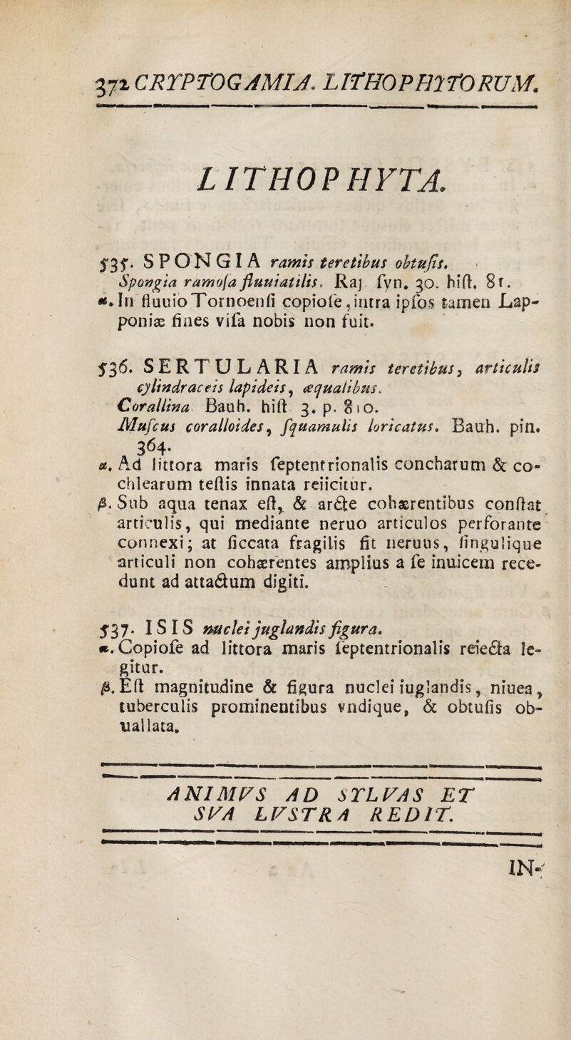 17% CRYPTOGAMIJ. L IT HO P HI YO RUM. LITHOP HYTA. 5'35'. SPONGIA ramis ter elibus obtufis. Spongìa ramofafluuiatilis. Raj fvn. 30. hifh 8r. **In fiuuioTornoenfi copiofe, intra ipfos tamen Lap- ponias fines vifa nobis non fuit. 536. SERTULARIA ramìs ter elibus, articulis cylindraceis lapideìs, (squalibus. Corallina Bauh. hift 3. p. 8>o. Mufcus coralloides, fquamulis loricatus. Baiih. pin. 364* a. Ad littora maris feptentrionalis concharum & co» chlearum teftis innata reiicitur. Sub aqua tenax eft, & ardte cohasrentibus conftat articulis, qui mediante neruo articulos perforante connexi; at ficcata fragilis fit neruus, fingulique articuli non cohaerentes amplius a fe inuicem rece- dunt ad atta&um digiti, 537. ISIS mi elei juglandis figura. «.Copiofe ad littora maris feptentrionalis reiedla le- gitur. EH: magnitudine & figura nuclei iuglandis, niuea , tuberculis prominentibus vndique, & obtufis ob¬ lia! lata. A NI MES AD STL VA S ET SE A L E S TRA REDIT.