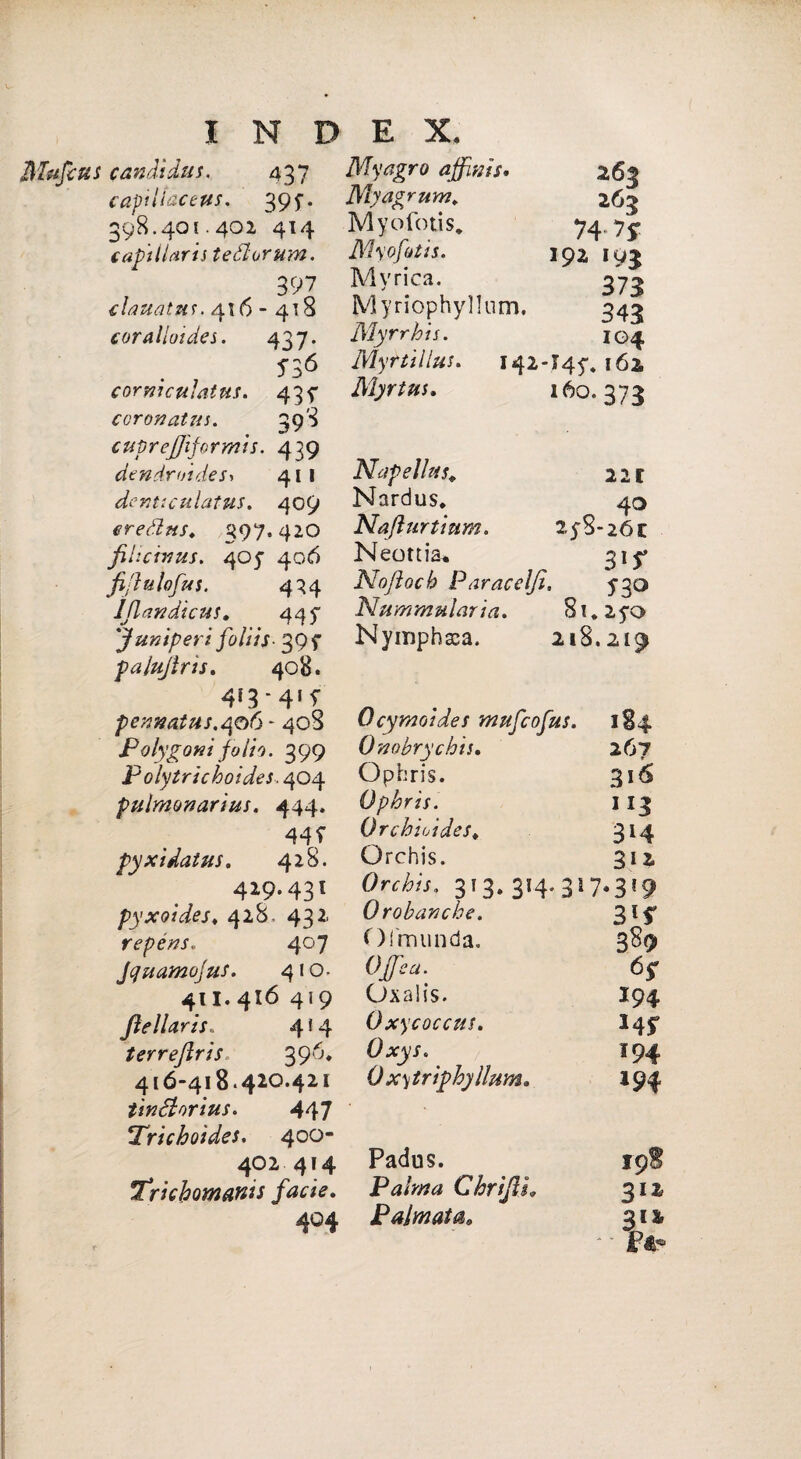 Mufcus candìdus. 437 Myagro affinis* 263 capiUacevs. 395-. Myagrum» 26$ 398.401.402 414 Myofotis„ 74.7$ (affiliarti teólorum. Myofotis. 192, 19^ 397 Myrica. 373 clauatnr. 416-418 Myriophyllum. 343 (oralloides. 437- Myrrkis. 104 5-36 Myttillus. 142-1459162 cornìctiìatus. 43^ Myrtns. *60.373 coronatiti. 39'3 cupreffiformis. 439 dendroide Sy 411 Napellas. 221 denticulatus. 409 Nardus* 40 erefìns. 397.420 Nafturtium. 2$%-26z fihcinus. 405 406 Neottia* 31^ ji'luloffis. 424 Noftocb Paracelfi. 5^30 Iflandlcus. 44^ ddummularia. Si.25'0 fiuniperi foltis- 395- Nymphaca. 218.219 palujlris. 408. 4i3-4,y pennatus.c\o6 - 408 Ocymoides mufcoffis. 184 Polygoni folio. 399 Onobrychis. 267 Polytrichoides. 404 Ophris. 316 pulmonarius. 444. Ophris. 113 445- Orchioides♦ 314 pyxìdatus. 428. Orchis. 312 429.431 Orchis. 313. 314. 317.319 pyxoides, 428. 432 Orobanche. 31^ repéns. 407 Ofm linda. 389 Jquamojus. 410- Offe a. 6$ 411.416419 Oxalis. I94 Jìellaris. 414 Oxycoccus. 345' terrejlris. 39^* Oxys. 194 416-418.420.421 Oxytriphyllum. 194 tìnSi or ius. 447 Prichoides. 400- 402 414 Padus. 19S tfrichomanis facie. Palma Chrifiu 312 404 Palmata» 312