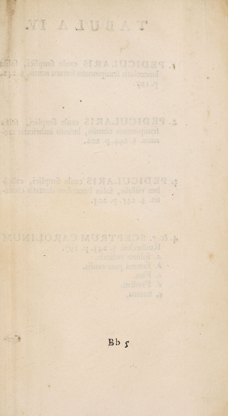 ' ■ - V £1 V *-«r * .