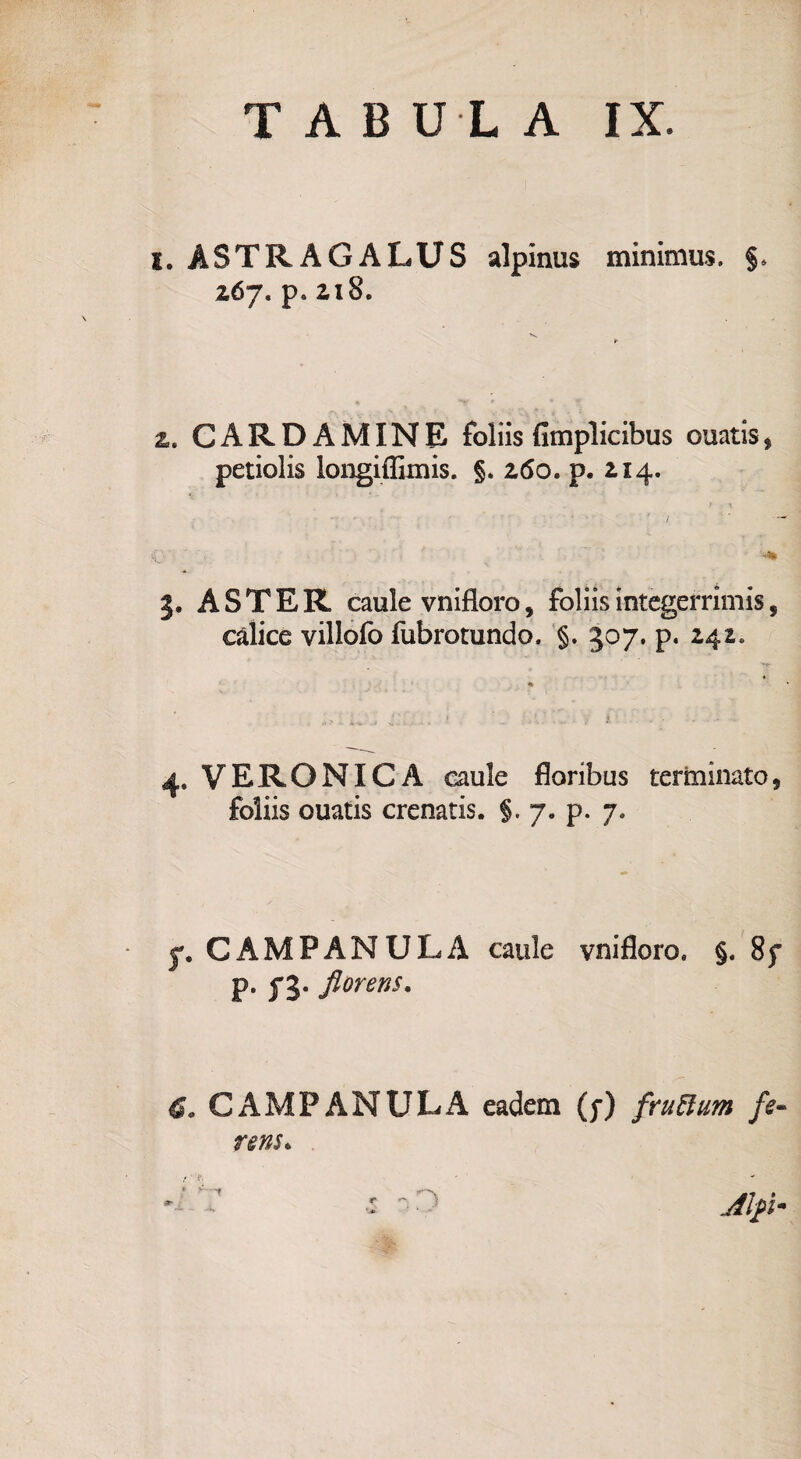 i. ASTRÀGALUS alpintis minimus. §* 267. p. 218. 2. CARDAMINE foliis fimplicibus ouatis, petiolis longiflìmis. §. 260. p. 214. 5. A S T E R caule vnifloro, foliis integerrimis, càlice villofo fubrotundo. §. 307. p. 24^ 4, VERONICA caule floribus terminato, foliis ouatis crenatis. §. 7, p. 7. 7. CAMPANULA caule vnifloro, §. 8f p. f 3. florens. 60 CAMPANULA eadem (f) fruffum fe- rens* Alpi* t V
