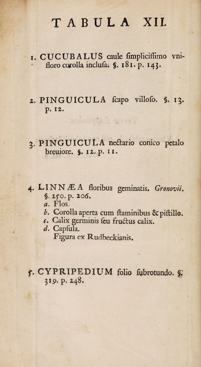 i. CUCUBALUS caule fimpliciflìmo vni- floro corolla inclufà. §. 181. p. 145. 2. PINGUICULA fcapo villofo. §. 13. p. 12. 3. PINGUICULA nettario conico petalo breuiore. §. 12. p. 11. 4. L» IN N JE A floribus geminatis. Gronovii. §. 2f o. p. 205. a. Flos. b. Corolla aperta cum ftaminibus & pillili©, e. Calix germinis leu fmttus calix. d. Capfula. Figura ex Rudbeckianis. f. CYPRIPEDIUM folio fijbrotundo. 319. p, 248.
