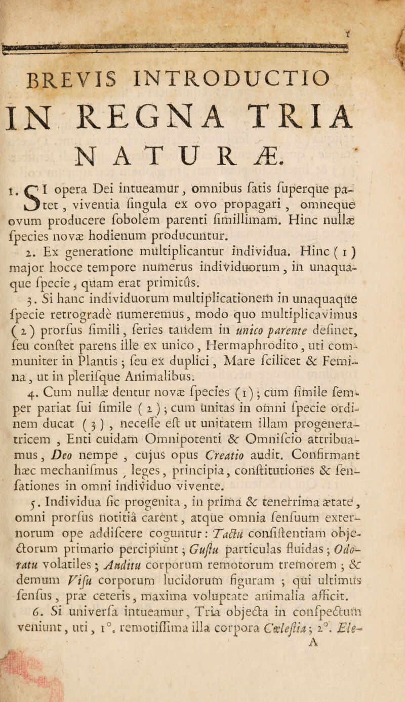 BREVIS INTRODUCTIO IN REGNA TRIA NATU R M. t. opera Dei intueamur, omnibus fatis fuperque pa- L^tet, viventia fingula ex ovo propagari, omneque ovum producere fobolem parenti fiiiiillimarri. Hinc nullas fpecies novas hodienum producuntur. 2. Ex generatione multiplicantur individua. Hinc ( i) major hocce tempore numerus individuorum, in unaqua¬ que fpecie 5 quam erat primitus. 3. Si hanc individuorum multiplicationem in unaquaque fpecie retrograde numeremus, modo quo multiplicavimus ( 2 ) prorfus fimili, feries tandem in unico parente defmet, feu condet parens ille ex unico, Hermaphrodito, uti coor muniter in Plantis; feu ex duplici, Mare fcilicet Sc Femi¬ na, ut in plerifque Animalibus. 4. Cum nullas dentur 110vas fpecies (1) ; cum fimile fem* per pariat fui fimile ( 2 ) j cum imitas in omni fpecie ordi¬ nem ducat ( 3) , necelfe ed ut unitatem illam progenera- tricem , Enti cuidam Omnipotenti Sc. Omnifcio attribua¬ mus, Deo nempe , cujus opus Creatio audit. Confirmant hasc mechanifmus / leges, principia, conftitutiories Sc fen- fationes in omni individuo vivente. 5. Individua fic progenita, in prima Sc teneirrima£tate, omni prorliis notitia carent, atque omnia fenfuum exter¬ norum ope addifeere coguntur: Tattu confidentiam obje- diorum primario percipiunt ” Gujiu particulas fluidas; Odo¬ ratu volatiles; Auditu corporum remotorum tremorem j Sc demum Vi fu corporum lucidorum figuram ; qui ultimus fenfus, pr&' ceteris, maxima voluptate animalia afficit. 6. Si univerfa intueamur. Tria objedla in confpedturh veniunt, uti, i°e remotiffima illa corpora C%lejlia \ 20. Ele- 1 A