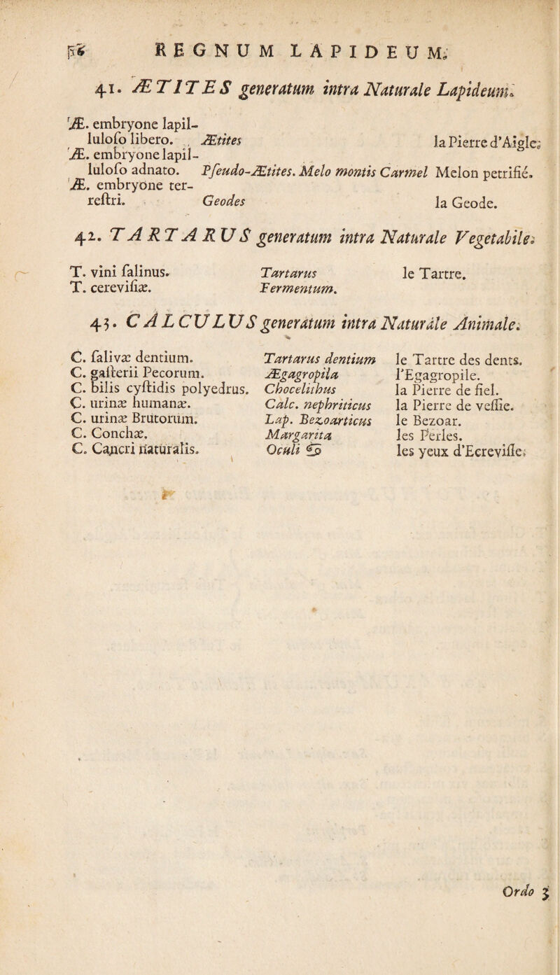 41. ALT IT ES generatum intra Naturale Lapideumi TJE. embryone lapil- lulofo libero. , JEtites la Pierre d’AigIe; IE. embryone lapil- lulofo adnato. JPfeudo-JEtites. Melo montis Carmel Melon petrifie. IE. embryone ter- reftri. Geodes la Geode. 42. TARTARUS generatum intra Naturale Vegetabile i T. vini falinus. Tartarus le Tartre. T. cerevilias. Termentum. 43. CALCULUS generatum intra Naturale Animale. C. Ealivas dentium. Tartarus dentium C. gallerii Pecorum. TEgagropila C. bilis cyftidis polyedrus. Chocelithus C. urinas humante. Cale, nephriticus C. urinas Brutorum. Lap. Bezoarticus C. Conchas, Margarita C. Cajicri naturalis. Oculi £0 le Tartre des dents. PEgagropile. la Pierre de fiel. la Pierre de veflie. le Bezoar. les Perles. les yeux d’Eerevide> r'