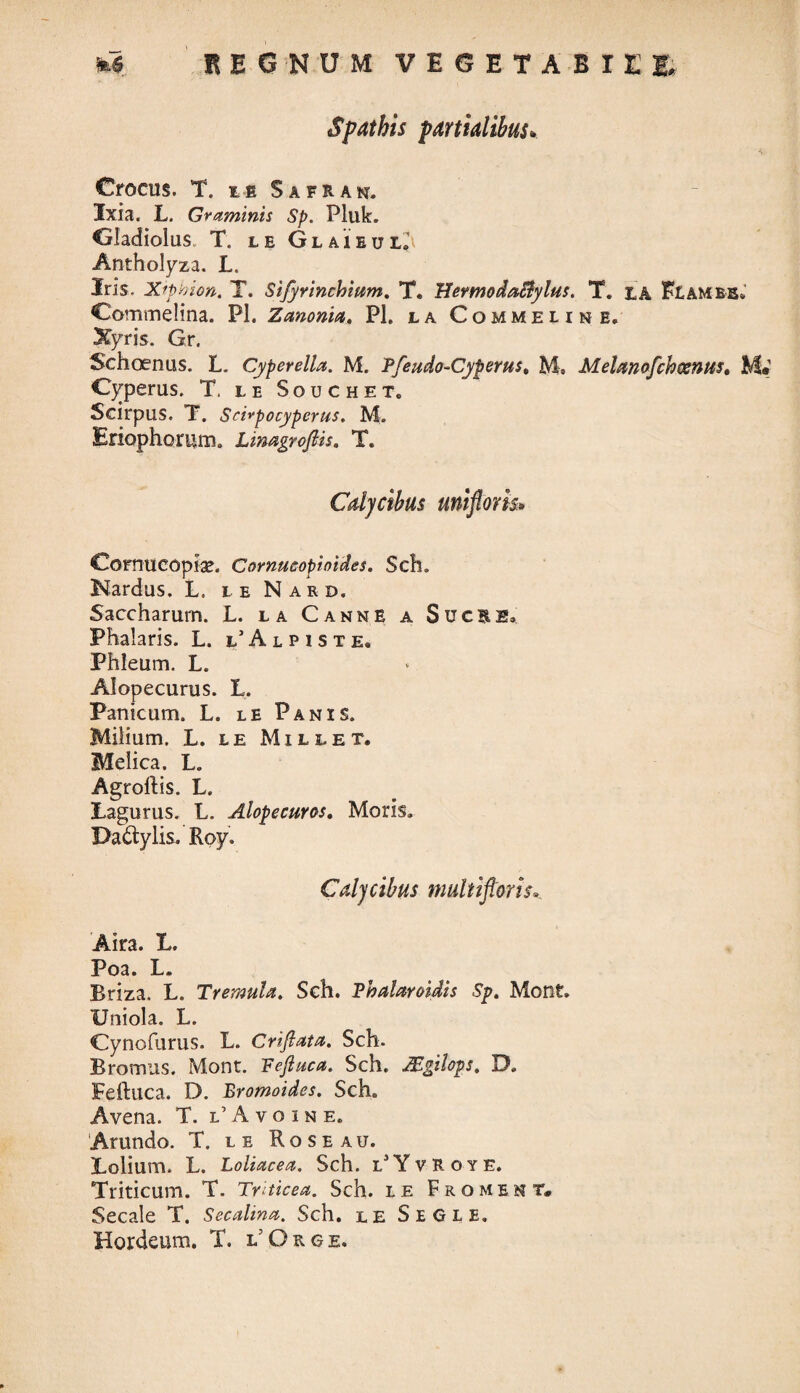 Spathis partialibus» Crocus. T. ie Safran. Ixia. L. Graminis Sp. Pluk. Gladiolus. T. le Glaieuli Antholyza. L. Iris, Xiphio», T. Sifyrinchmm. T. Hermo dactylus. T. tk Fiambe» Commelina. Pl. Zanonia. Pl. la Commeunb, Xyris. Gr. Schoenus. L. Cyperella. M. Pfeudo-Cyperus, M. MeUnofch&nus. M« Cyperus. T. le Souchet. Scirpus. T. Scivpocyperus. M. Eriophorum. Limgroftis. T. Calycibus uniftom* Cornucopiae. Comucopioldes. Sch. Nardus, L. le Nard. Saccharum. L. la Canne a Suckb, Phalaris. L. PAlpiste. Phleum. L. Alopecurus. L. Panicum. L. le Panis. Milium. L. le M ille t. Melica. L. Agroftis. L. Pagurus. L. Alopecuros. Moris. Da&ylis. Roy. Calycibus multifloris.. Aira. L. Poa. L. Briza. L. Tremula. Sch. Phalaroidts Sp. Mont. Uniola. L. Cynofurus. L. Crifiata. Sch. Bromus. Mont. Fejluca. Sch. JEgilops. D. Feftuca. D. Bromoidcs. Sch. Avena. T. l’Avoine. Arundo. T. le Roseau. Polium. L. Loliacea. Sch. l]Yviioye. Triticum. T. Triticea. Sch. le Frqment* Secale T. Secalina. Sch. le S e G l e. Hordeum. T. l’Or6e.