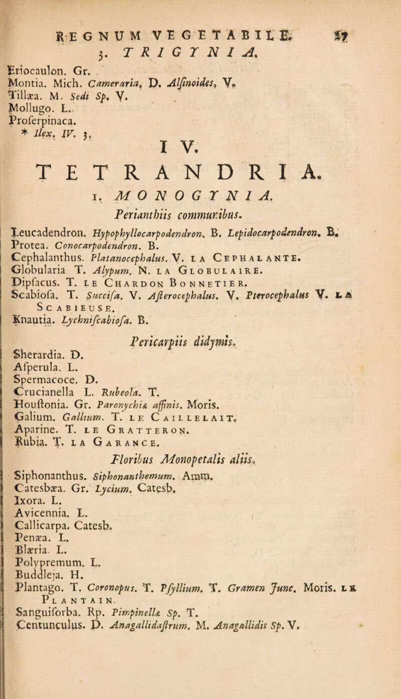 3. T R 1 G I N I A* Eriocaulon. Gr. Montia. Mich. Cameraria* D. Alfmoides* V» Tillxa. M. Sedi Sp, Y. Mollugo. L. Proferpinaca. * Ilex. IV, u I V. TETRANDRIA. 1. MONOGYNl A. Periantbiis commur.ibus. Leucadendron. Kypophyllocarpodendron. B. Lepidocarpodendron, B» Protea. Conocarpodendron. B. Cephalanthus. Platanocephalus. V. la Cephalante. Globularia T. Alypum. N. la Globulaire. Dipfacus. T. le Chardon Bonnetier. Scabiofa. T. Succifa. V. Ajlerocephalus. V. Pterocephalus V. JUA’ Sc ABIEUSE. Knautia. Lychnifcabtofa. B. Pericarpiis didymis, S Sherardia. D. Afperula. L. Spermacoce. D. Crucianella L. Ruheola. T. Houllonia. Gr. Paronychia affinis. Moris. IGalium. G allium. T. le C aillelait, Aparine. T. le Gratteron. Rubia. T. la Garance. Floribus Adonopetalis aliis, Siphonanthus. Siphonanthemum. Amni. Catesbsea. Gr. Lycium. Catesb. Ixora. L. Avicennia. L. Callicarpa. Catesb. Penaea. L. Blaeria. L. Polypremum. L. Buddleia. H. Plantago. T. Coronopus. T. PfyUium. T. Gramen Junc. Moris. l& Plantain, Sanguiforba. Rp. PimpinelU Sp. T.