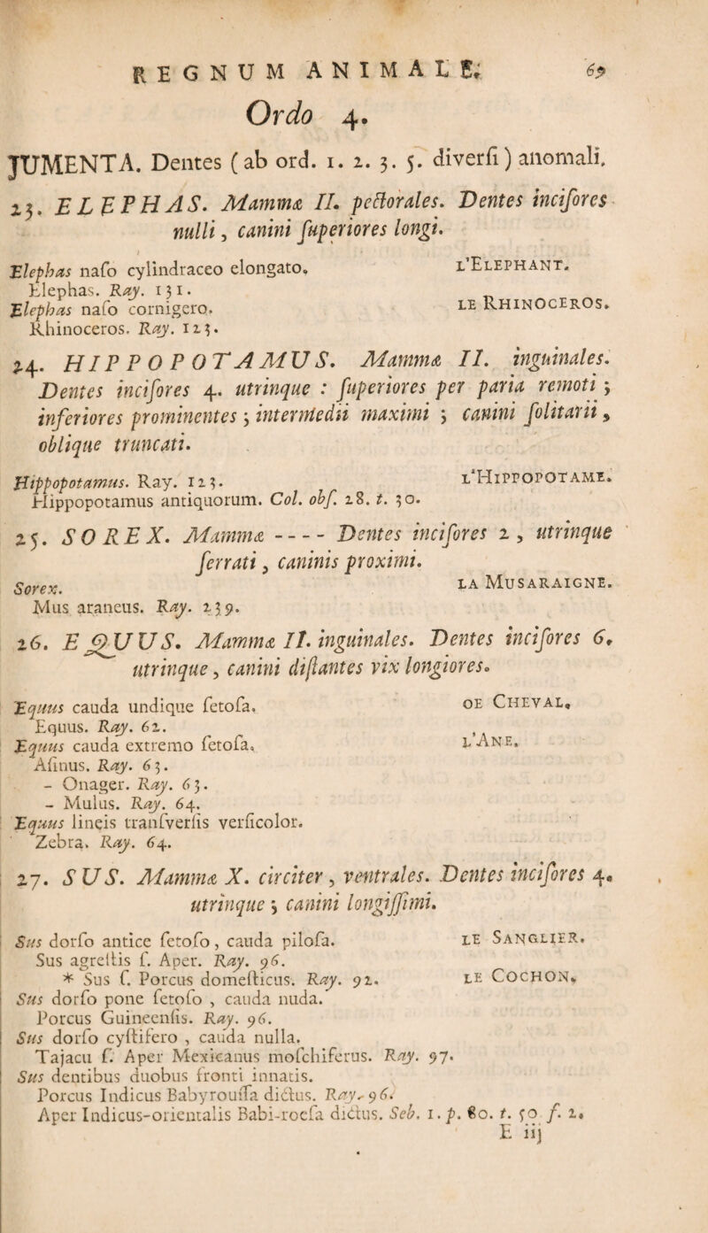 Ordo 4. JUMENTA. Dentes (ab ord. 1. 1. 3. 5. diverfi) anomali. 13. ELEPHAS. Mamma II. pellor ales. Dentes inciforcs nulli, canini fuperiores longi. 1 ’ 'J • Elephas nafo cylindraceo elongato. l’Elephant, Elephas. Ray. 131. Elephas nafo cornigero. LE Rhinoceros. Rhinoceros. Ray. 113. HIP P O P OTAMUS. Mamma II. inguinales. Dentes incifores 4. utrinque : fuperiores per paria remoti3 inferiores prominentes 3 interule dti maximi 3 canini f olit ani 9 oblique truncati. Hippopotamus. Ray. 113. l Hippopotami. Hippopotamus antiquorum. Coi. obf. z8. t. 30. 25. SOREX. Alumina-Dentes incifores 1 ? utrinque ferrati 3 caninis proximi. Sorex. LA Musaraigne. Mus araneus. Ray. 13 9. 26. EffUUS. Adamma //. inguinales. Dentes incifores 6. utrinque, canini di flant es vix longiores«, 'Equus cauda undique fetofa. Equus. Ray. 6z. Equus cauda extremo fetofa» Afinus. Ray. 6 3. - Onager. Ray. 6 3. - Mulus. Ray. 64. Equus lineis tranfverfis verficolor. Zebra. Ray. 64. oe Cheval, i/Ane. 27. SUS. Mamma X. circiter, ventrales. Dentes incifores 4« utrinque 3 canini longijfmu Sus dorfo antice fetofo, cauda pilofa. le Sanglier. Sus agreitis f. Aper. Ray. 96. * Sus f. Porcus domelticus. Ray. 91. le Cochon* Sus dorfo pone fetofo , cauda nuda. Porcus Guineenlis. Ray. 96. Sus dorfo cyltifero , cauda nulla. Tajacu f. Aper Mexicanus mofchiferus. Ray. 97. Sus dentibus duobus fronti innatis. Porcus Indicus Babyrouda didtus. Ray^<)6i Aper Indicus-orientalis Babi-rocfa diCtus. Seb. 1. p. £0. t. fo /. 1« E ii)