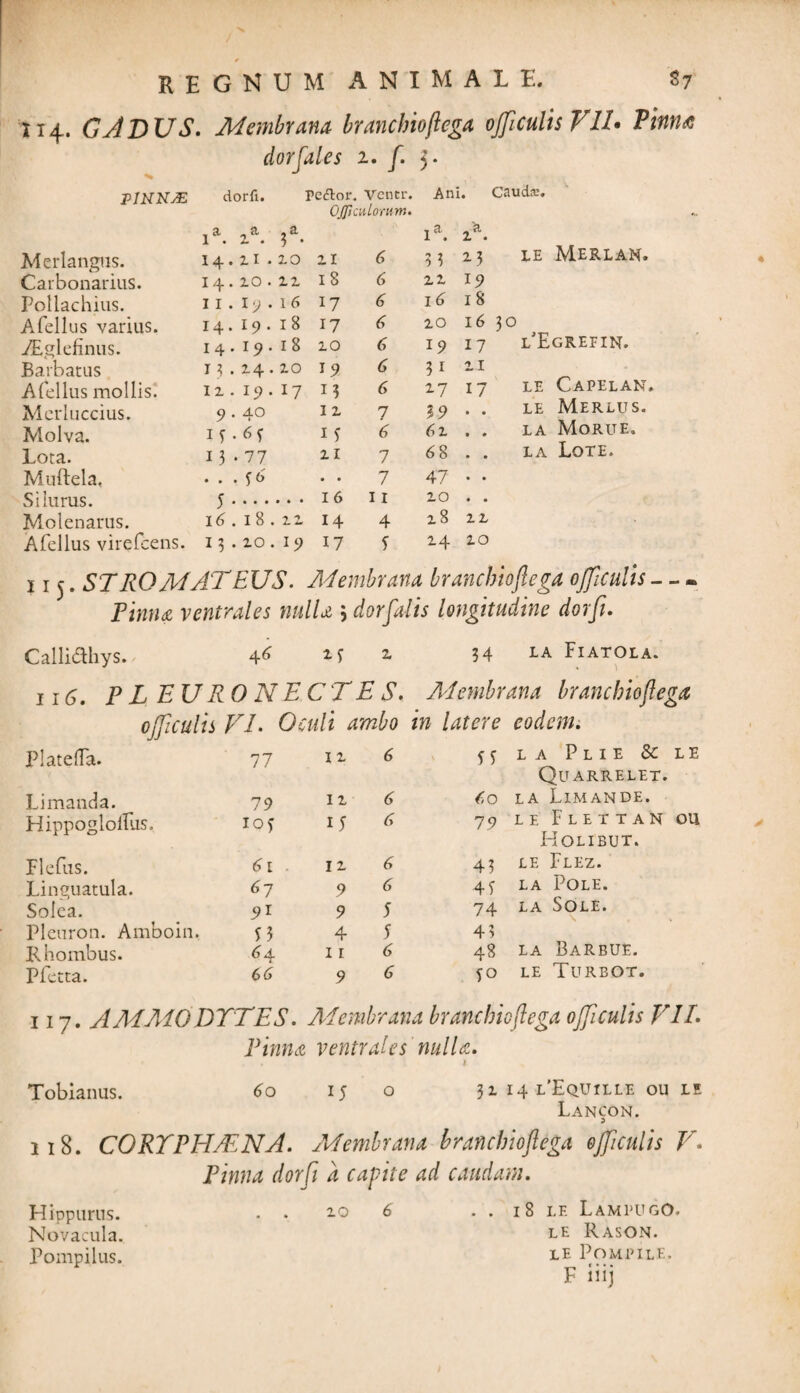 1x4. GADUS. Membrana branchioftega ojficulis VII* Pinna dor Cales 2. f. y PINNjE dorfi. Peftor. Ventr. Ani. Cauds. OJJlculorum. i\ 5a- ia. 2?'. Mcrlangus. I4.11 • 2.0 21 6 3 3 23 LE MERLAN. Carbonarius. I 4.10. ZZ 18 6 22 19 Pollachius. I I . Iy . 16 17 6 16 18 Afellus varius. 14. I9. l8 17 6 20 16 30 TEglefinus. I4. I 9. l8 10 6 19 17 l^Egreein. Barbatus I3.24.IO 19 6 3i 11 Afellus mollis. 12 . 19 . 17 i? 6 27 17 LE CAPELAN. Mcrluccius. 9 • 4° 1 2 7 59 . . LE MERLUS. Molva. if • 13 6 6 X . . LA MORUE. Lota. 13-77 21 7 68 . . la Lote. Muftela, . . . f6 • • 7 47 Silurus. 5. 16 11 10 Molenarus. 16.18.12 14 4 iS 11 Afellus virefeens. 13.10.19 17 f 2-4 10 1I(. STROMATEUS. Membrana branchioftega ojficulis - Pinna ventrales nulla 3 dorfalis longitudine dorfi. Calli&hys. 46 2 34 LA FlATOLA. « 3 116. PLEURONECTES. Mi'embrana branchioftega ojficulis FL Oculi ambo in latere eodem. PlatelTa. 77 12 6 5 S LA PlIE & LE QU ARRELET. Limanda. 79 12 6 60 la Limande. Hippoglolfus, IOf 15 6 79 le Flettan ou Holibut. Flefus. 61 12 6 43 LE FlEZ. Linguatula. 67 9 6 4f la Pole. Solea. 9i 9 5 74 la Sole. Pleuron. Amboin. f} 4 5 43 la Barbue. Rhombus. 64 11 6 43 Pfetta. 6 6 9 6 *o le Turbot. 117. AMMODYTES. Membrana branchioftega ojficulis V1L Pinna ventrales nulla. 1 Tobianus. 60 15 o 3z 14 l’Equille ou le Lancon. 118. CORYPH/ENA. Membrana branchioftega ojficulis V* Pinna dorfi a capite ad caudam. Hippurus. Novacula. Pompilus. 10 6 . . 18 le LampugO. le Rason. le Pompile. F iiij