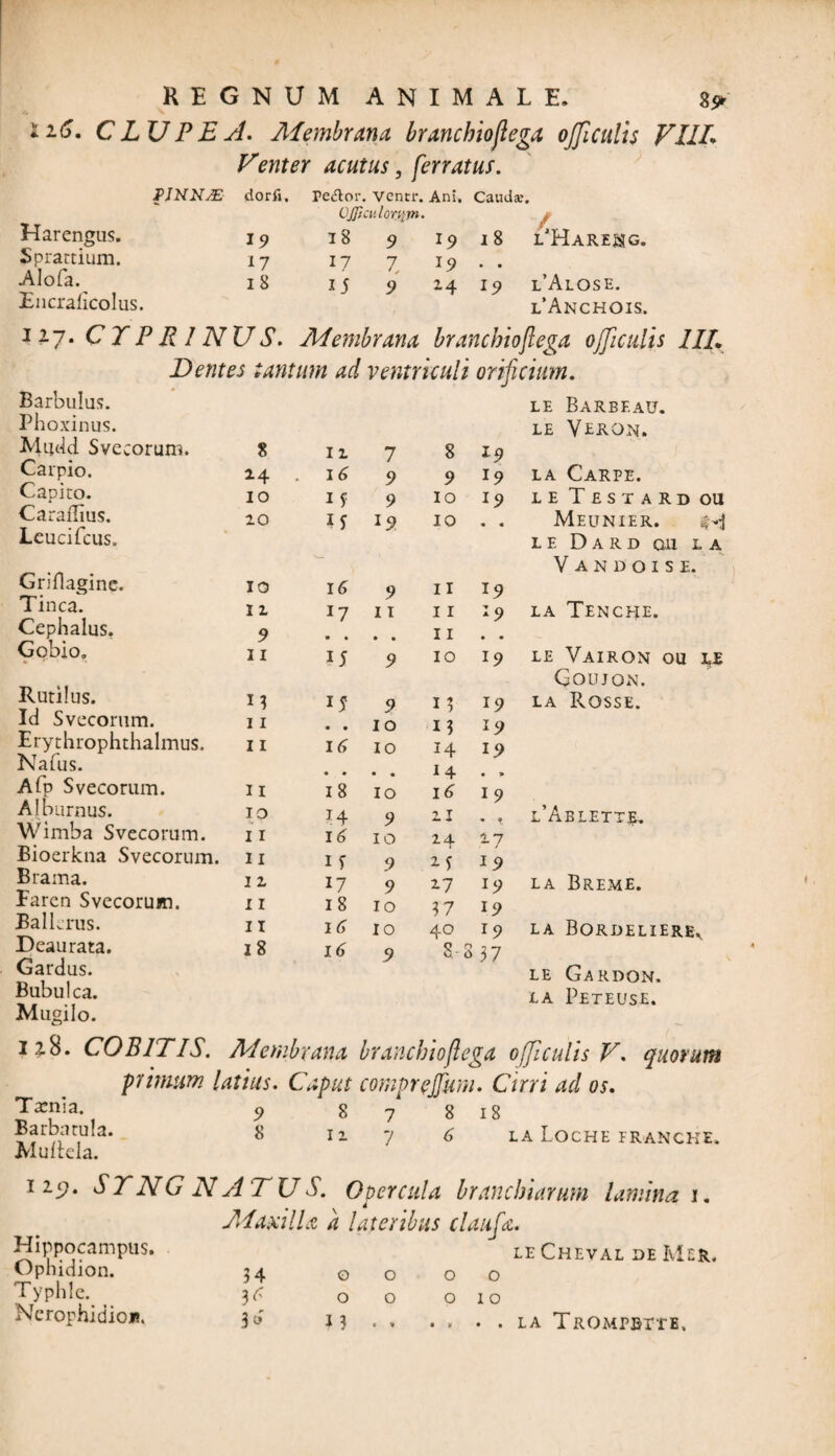 CLUPEA. Membrana branchioflega ojjlculis VI1L Venter acutus, ferratus. PINNAE dorfi. Pe<Slor. ventr. (JJficulomm- Ani. Cauda.’. / 19 18 9 19 18 ljHarekg. 17 17 7 19 • • 18 15 9 14 19 l’Alose. l’Anchois. 7 S. Membrana branchioflega ofjiculis IIL » tantum ad ventriculi orificium. LE BaRBF.AU. LE VERON. 8 12 7 8 19 a4 . 16 9 9 19 la Carpe. IO 1 f 9 IO 19 LETES TARDOU 20 19 IO . . MEUNIER. sH L E D A R D OH L A Vandoise. IO 16 9 11 19 11 17 11 11 19 LA TENCHE. 9 » • • • 11 9 • 11 15 9 IO 19 LE VaIRON OU LE Goujon. 13 15 9 13 19 LA ROSSE. 11 • • IO 13 19 11 16 IO H 19 . . • • 1 4 • * 11 18 IO 16 19 10 H 9 11 . , l’Ablette. 11 16 IO 24 17 11 1 T 9 2-3 19 I 2 17 9 2-7 19 LA BrEME. 11 18 IO 37 19 II 16 IO 40 19 LA BORDELIER^ 18 16 9 S 337 LE GaRDON. LA PETEUSE. Harengus. Sprattium. Alofa. Encraficolus. Barbulus. Phoxinus. Miic4d Svecorum. Carpio. Capito. Carailius. Leucifcus. Griflagine. Tinca. Cephalus, Gobio. Rutilus. Id Svecorum. Erythrophthalmus. Nafus. Afp Svecorum. Alburnus. Wimba Svecorum. Bioerkna Svecorum. Braina. Faren Svecorum. BalLrus. Deaurata. Gardus. Bubulca. Mugilo. 128. COB1T IS. Membrana branchioflega ofjiculis V. quorum primum latius. Caput comprejfum. Cirri ad os. Txnia. 9 87 8 18 . a* 11 7 <> LA LOCHE FRANCHE. Aiultela. 119. STNG NA TUS. Opercula branchiarum lamina 1. Maxilla a lateribus claufa. Hippocampus. le Cheval oe Mer. Ophidion. 34 00 00 Typhle. ^ 3^ 00 010