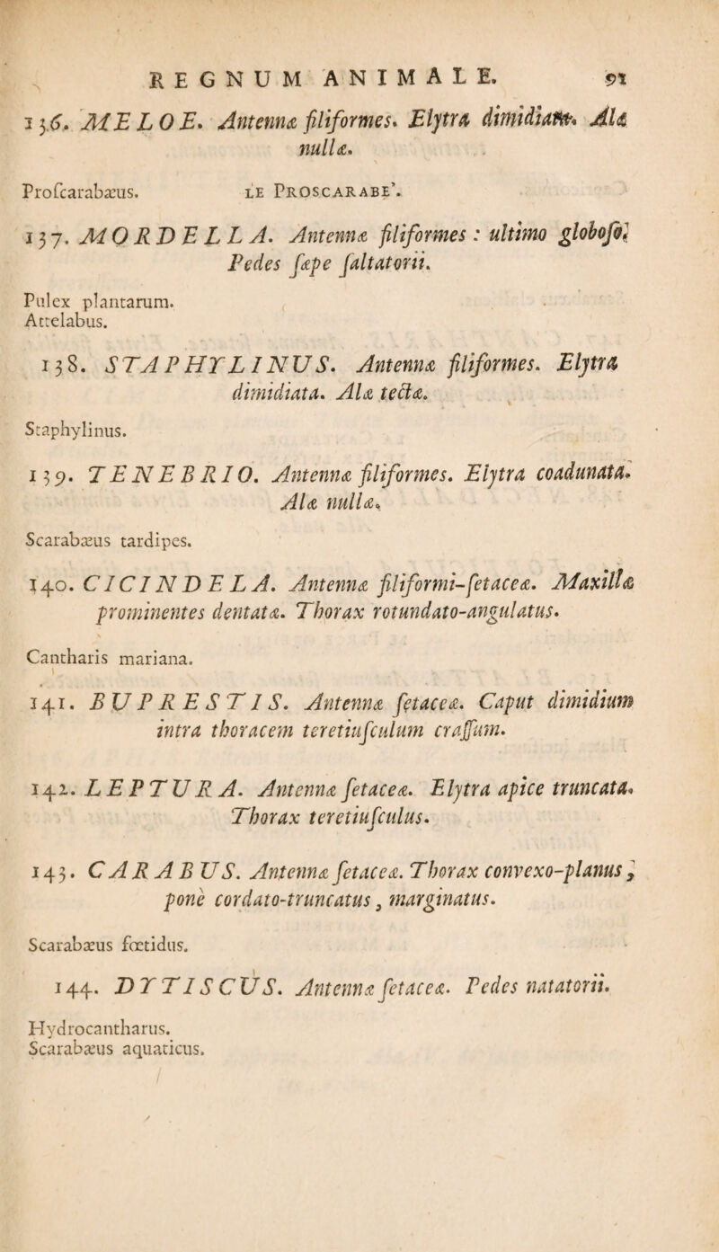 3 3 6. MELO E. Antenna filiformes. Eljtu dimidiam. AU nulla. Profcarabaeus. le Proscarabe’. 137. MO RT>E LL A. Antenna filiformes : ultimo globofo} Pedes Cape Jaltatorii. Pulex plantarum. Attelabus. 138. STA PHY LINUS. Antenna filiformes. Elytu dimidiata. AU tecla. Staphylinus. 135». TENEBRIO. Antenna filiformes. Elytra coadunata* Ala nulla* Scarabaeus tardipes. 540 .CICINDELA. Antenna filiformi-fetacea. Maxilla prominentes dentata. Thorax rotundato-angulatus. * Cantharis mari ana. 141. BU P RE ST IS. Antenna fetacea. Caput dimidium intra thoracem teretiufculum craffum. 142. LEPTUR A. Antenna fetacea. Elytra apice truncata* Thorax teretiufculus. 143. CARABUS. Antenna fetacea. Thorax convexo-planus > pone cordato-truncatus 3 marginatus. Scarabaeus foetidus. 144. DY TIS CU S. Antenna fetacea. Pedes natatorii. Hydrocantharus. Scarabaeus aquaticus. / /