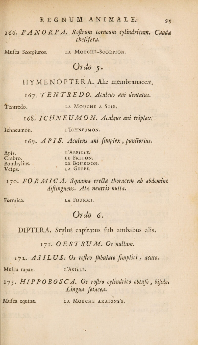 5?* 166. P A N O R P A. Roflrum corneum cylindricum. Cauda cbelifera. Mufca Scorpiuros. ia Mouche-Scorpion. Ordo 5. HYMENOPTERA. Alx membranacea^ 167. TENTREDO. Aculeus ani dentatus. ‘Tentredo. ia Mouche a Scie. 168. ICHNEUMON. Aculeus ani triplex. Ichneumon. i/Ichneumom. 165?. APIS. Aculeus ani fimplex, punttorius. Apis. LAbeille. Crabro. i£ Frelon. Bombylius. ie Bourdon» Vefpa. ia Guepe. 170. FORMICA. Squama eretta thoracem ah abdomine dijlinguens. AU neutris nulla. Formica. ia Fourmi. Ordo 6. DIPTERA. Stylus capitatus fub ambabus alis. 171. O E ST RU M. Os nullum. iji. ASILUS. Os roftro fubulato Jimplici, acuto. Mufca rapax. i’Asilie. 173. HI P P O B O S C A. Os roflro cylindrico ohtufio 3 bifido• Lingua fetacea. > la Mouche araicn^i. Mufca equina.