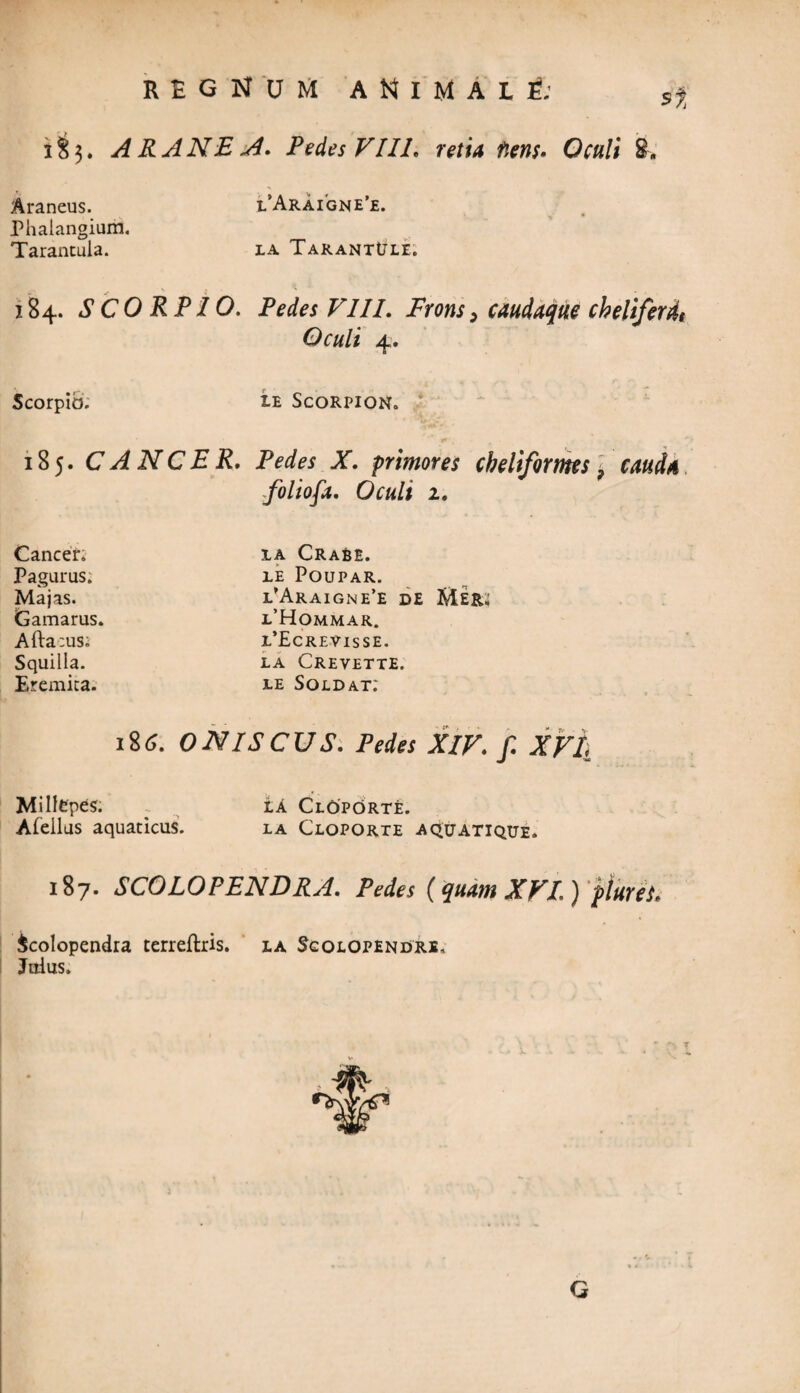 28$. ARANEA. Pedes VIIL retia flens- Oculi Araneus. Phalangium. Tarantula. l’Arai'gne’e. LA TARANTtJLE. 284. SCORPIO. Pedes VIII. Frons> caudaque cheliferdt Oculi 4. Scorpib. 1E ScORPIONo 85. CANCER. Pedes X. primores cbeliformes ? cauda folio fi. Oculi 1. Cancer; Pagurus. Majas. Gamarus. Afta:us; Squilla. Eremita. ia Crabe. LE POUPAR. l’Araigne’e de Mer; l’Hommar. i’£crevisse. LA CREVETTE. le Soldat; 186. ONISCUS. Pedes XIV. f. XVh Millepes. Afellus aquaticus. iA ClOporte. LA CLOPORTE AQUATIQUE. 187. SCOLOPENDRA. Pedes [quam XVI.) plure i, Scolopendra terreftris. la Sgolopendre, Joius.