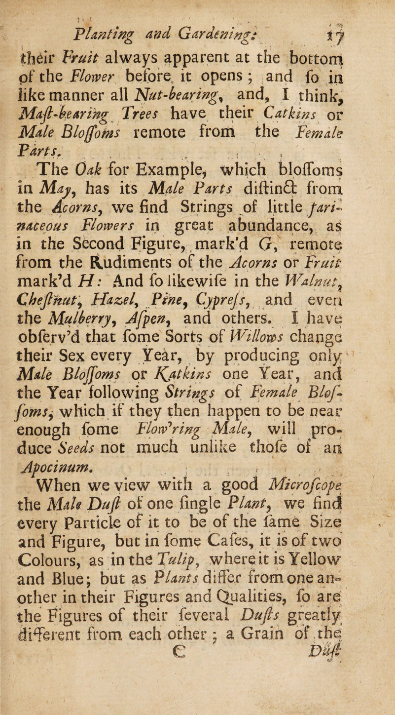 their Fruit always apparent at the bottom of the Flower before, it opens; and fo in like manner all Nut-bearing, and, I think* Mafi-bearikg Trees have their Catkins or Male Blojfoms remote from the Female Parts„ . r . , . , The Oak for Example, which blofloms in May, has its Male Parts diftinfl: from the Acorns, we find Strings of little farT naceous Flowers in great abundance, as in the Second Figure, mark'd G, remote from the Rudiments of the Acorns or Fruit mark’d H: And folikewife in the Walnut% Cheflnuti Hazel, Piney Cj/prejs, and even the Mulberry, Afpen, and others. I have obferv’d that fome Sorts of Willows change their Sex every Year, by producing only Male Blojfoms or Kjtkins one Year, and the Year following Strings of Female Blef- fomsj which if they then happen to be near enough fpme Flowering Male, will pro¬ duce Seeds not much unlike chafe of an Apocinum. ; - , * When we view with a good Microfcope the Male Dujl of one fingle Planty we find every Particle of it to be of the lame Size and Figure, but in fome Cafes, it is of two Colours, as in the Tulip, where it is Yellow and Blue; but as Plants differ from one an¬ other in their Figures and Qualities, fo are the Figures of their feveral Dufis greatly different from each other ; a Grain of the: