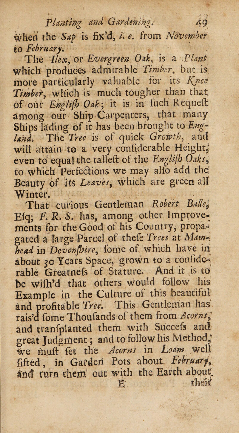 when the Sap is fix’d, i. e. from November to February. The Ilex, or Evergreen Oak, is a Plant which produces admirable Timber, but is, more particularly valuable for its Knee Timber, which is much tougher than that of our English Oak', it is in fuch Requeft among our Ship-Carpenters, that many Ships lading of it has been brought to Eng- Undi The Tree is of quick Growth, and will attain to a very confiderable Height, even to equal the talleft of the Englijh Oaks, to which Perfections we may alio add the Beauty of its Leaves, which are green all Winter. That curious Gentleman Robert Bade, Elq; F. R. S. has, among other Improve¬ ments for the Good of his Country, propa¬ gated a large Parcel of thefe Trees at Mam-, head in Devonshire, fome of which have int about 30 Years Space, grown to a confide¬ rable Greatnefs of Stature. And it is to be wilh’d that others would follow his Example in the Culture of this beautiful and profitable Tree. This Gentleman has rais’d fome Thoufands of them from Scorns, and tranfplanted them with Succefs and great Judgment; and to follow his Method,' live muft fet the Acorns in Loam Well lifted, in Garden Pots about February, turn them1 out with the Earth about E‘ tneiif
