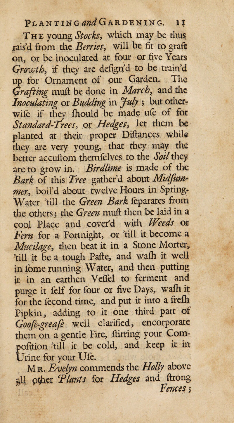 The young Stocks, which may be thus rais'd from the Berries, will be fit to graft on, or be inoculated at four or five Years Growth, if they are defign'd to be train'd up for Ornament of our Garden. The Grafting muft be done in March, and the Inoculating or Budding in July > but other- wile if they fhould be made uft of for Standard-Trees, or Hedges, let them be planted at their proper Diftances whik they are very young, that they may the better accuftom themfelves to the Soil they are to grow in. Birdlime is made of the Bark of this Tree gather'd about Midsum¬ mer, boil'd about twelve Hours in Spring- Water 'till the Green Bark feparates from the others 5 the Green muft then be laid in a cool Place and cover'd with Weeds or Fern for a Fortnight, or 'till it become a Mucilage, then beat it in a Stone Morter, 'till it be a tough Pafte, and wafh it well in Ibme running Water, and then putting it in an earthen Veflel to ferment and purge it felf for four or five Days, wafh it for the fecond time, and put it into a frefh Pipkin, adding to it one third part of Goofegreafe well clarified, encorporate them on a gentle Fire, ftirring your Com- pofition 'till it be cold, and keep it in Urine for your Ufe. Mr. Evelyn commends the Holly above all other Tlants for Hedges and ftrong Fences $