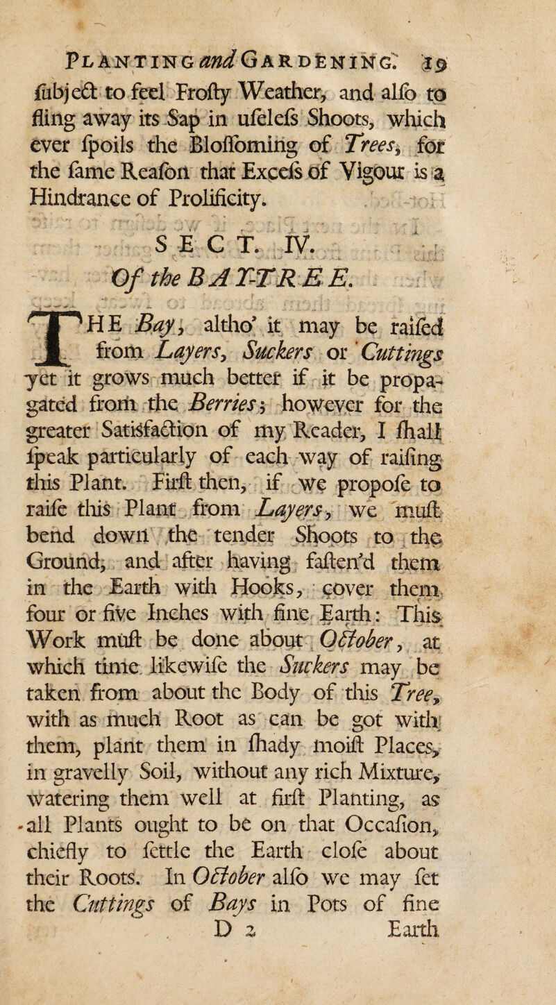 fubjcd to feel Frofty Weather, and alio to fling away its Sap in ufelefs Shoots, which ever fpoils the Blofloming of Trees, for the fame Reafon that Excels of Vigour is a Hindrance of Prolificity. S E C T. IV. Of the BAT-TR EE. THE Bay, altho' it may be railed from Layers, Suckers or 'Cuttings yet it grows much better if it be propa¬ gated from the Berries; however for the greater Satisfaction of my Reader, I lhall ipeak particularly of each way of railing this Plant. Firft then, if we propole to raile tliis Plant from Layers, we mull bend down the tender Shoots to the Ground, and after having fatten'd them in the Earth with Hooks, cover them four or five Inches with fine Earth: This Work mull be done about October, at which time likewife the Suckers may be taken from about the Body of this Tree* with as much Root as can be got with them, plant them in lhady moift Places* in gravelly Soil, without any rich Mixture* watering them well at firft Planting, asr -all Plants ought to be on that Occafion* chiefly to fettle the Earth clofe about their Roots. In October allb we may fet the Cuttings of Bays in Pots of fine Earth